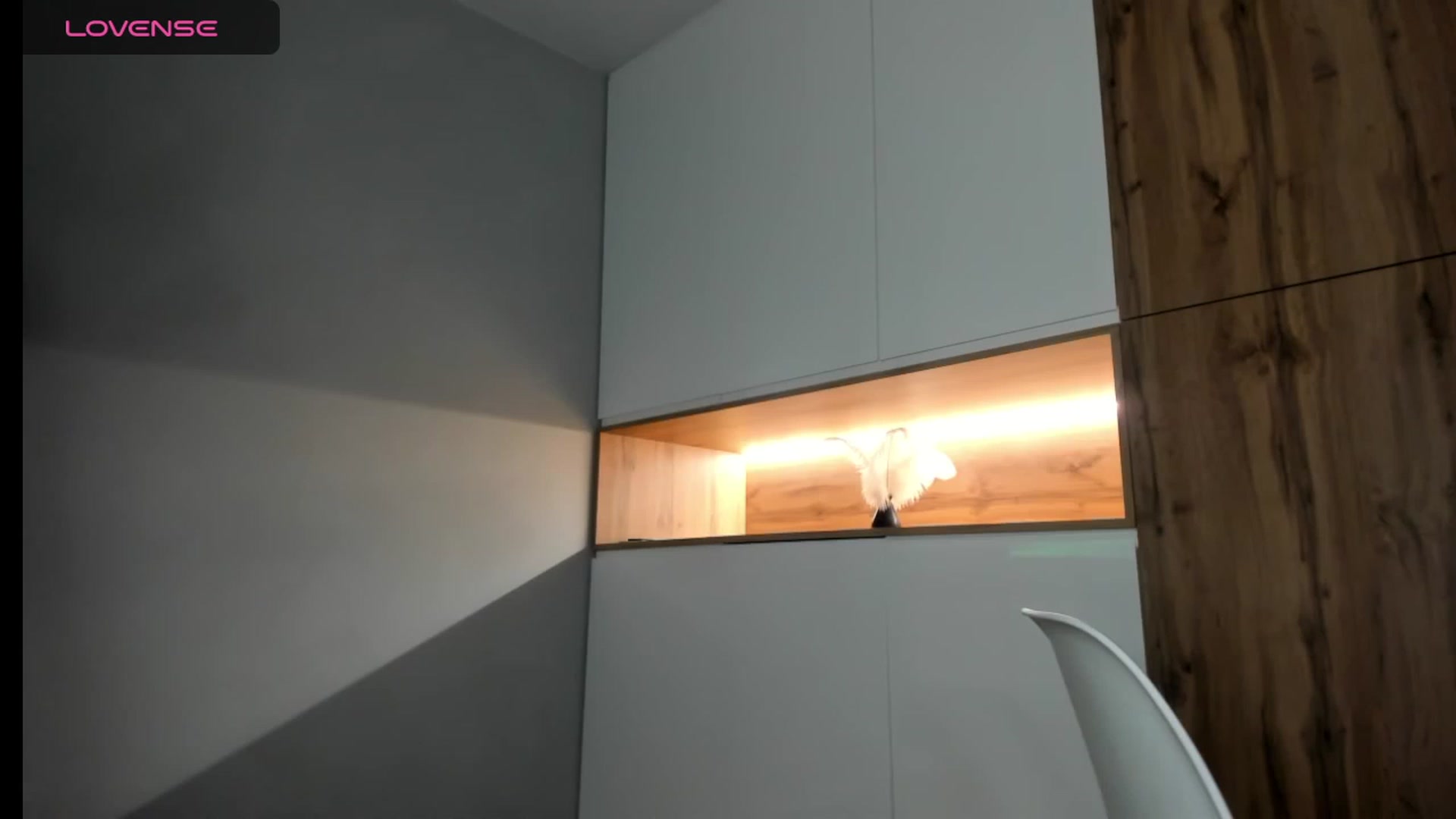 Gallery image thumbnail from BunnyK's myfreecams stream on, 11/19/2023, 19:12 image 19 of 20