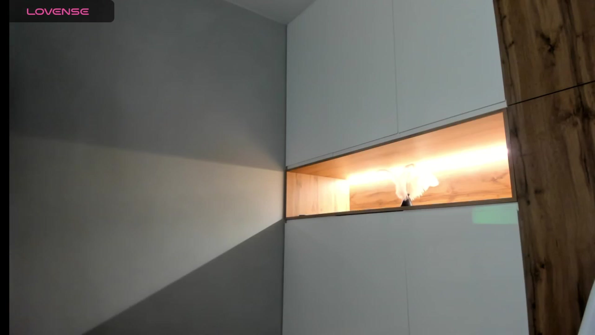 Gallery image thumbnail from BunnyK's myfreecams stream on, 11/19/2023, 20:33 image 11 of 20