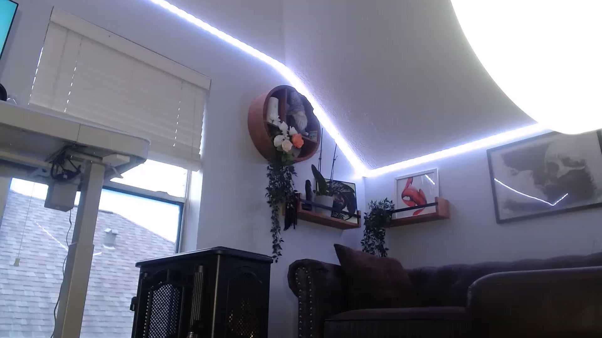 Gallery image thumbnail from BunnyNextDoor's myfreecams stream on, 11/16/2022, 16:46 image 2 of 20