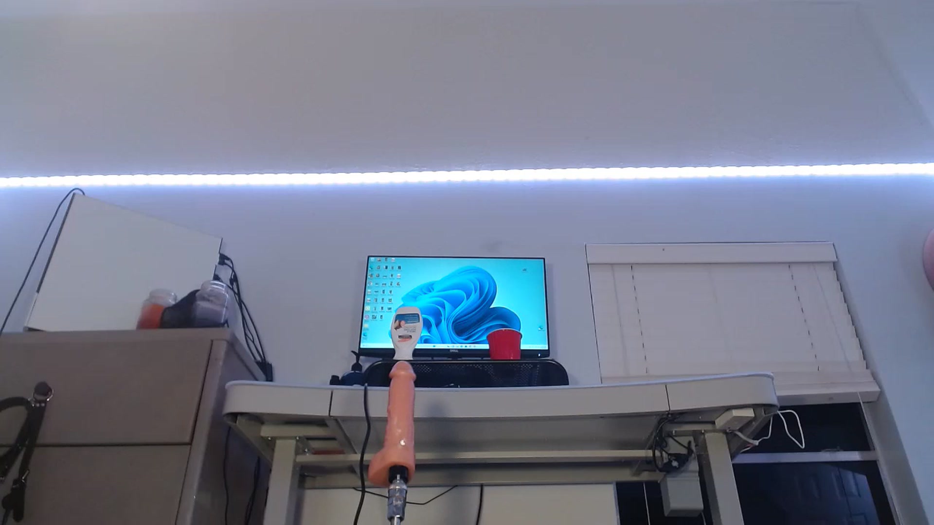 Gallery image thumbnail from BunnyNextDoor's myfreecams stream on, 11/17/2022, 03:10 image 11 of 20