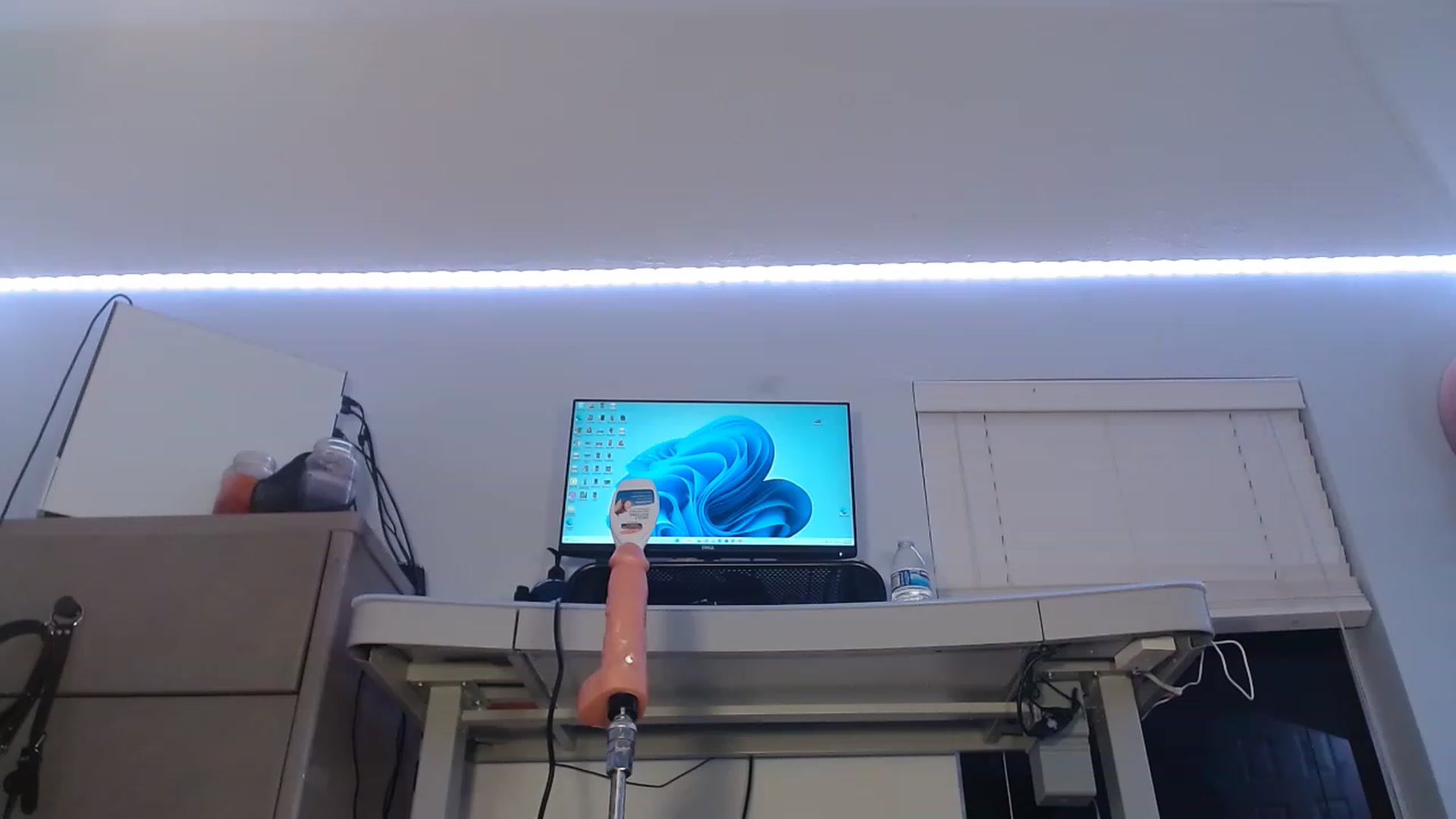 Gallery image thumbnail from BunnyNextDoor's myfreecams stream on, 11/17/2022, 03:10 image 14 of 20