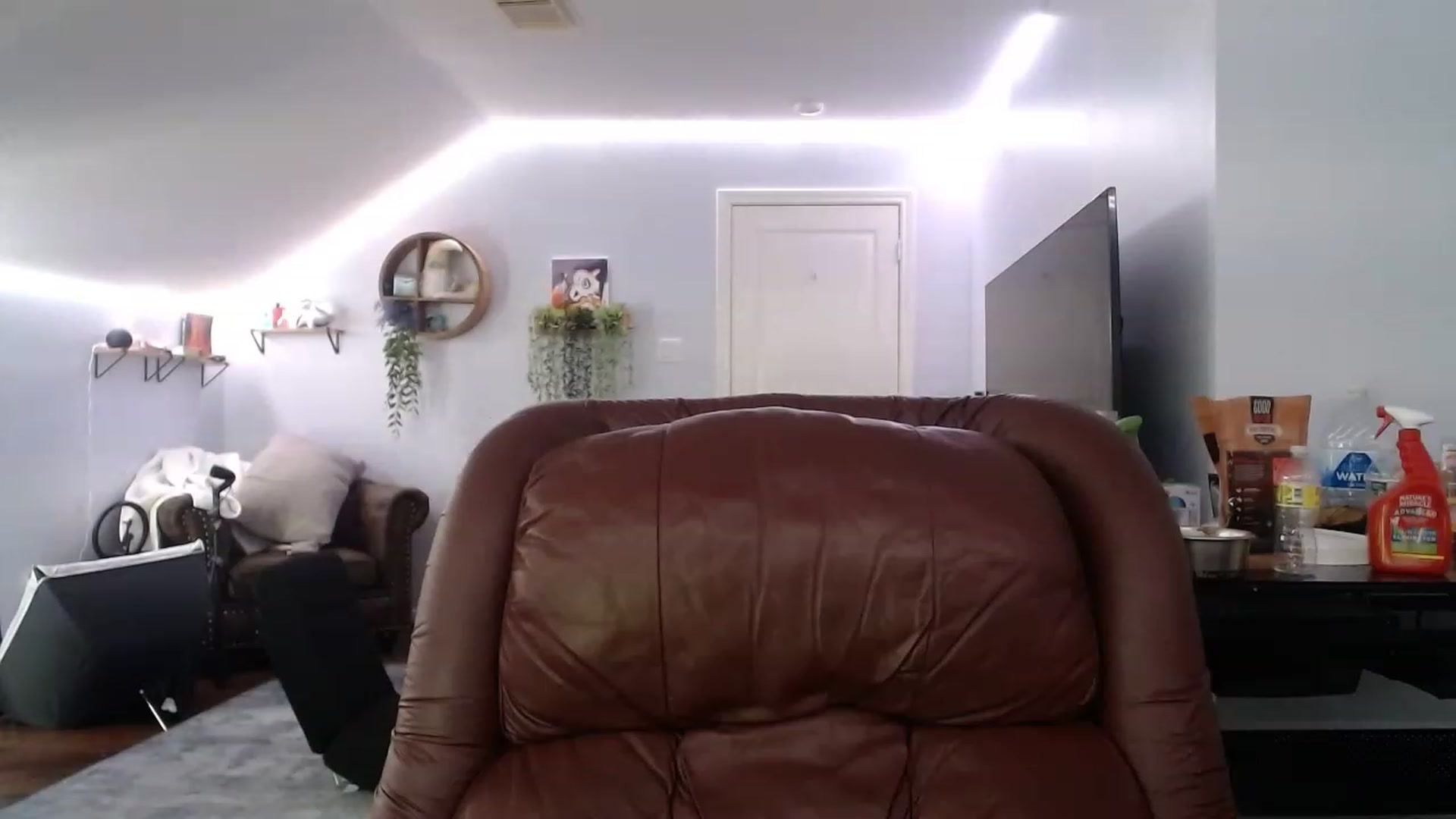 Gallery image thumbnail from BunnyNextDoor's myfreecams stream on, 11/17/2022, 18:12 image 19 of 20