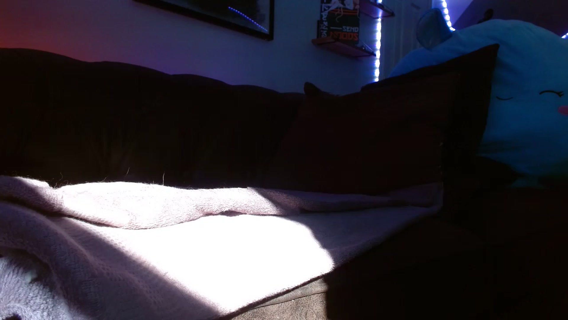Gallery image thumbnail from BunnyNextDoor's myfreecams stream on, 01/13/2023, 20:48 image 19 of 20