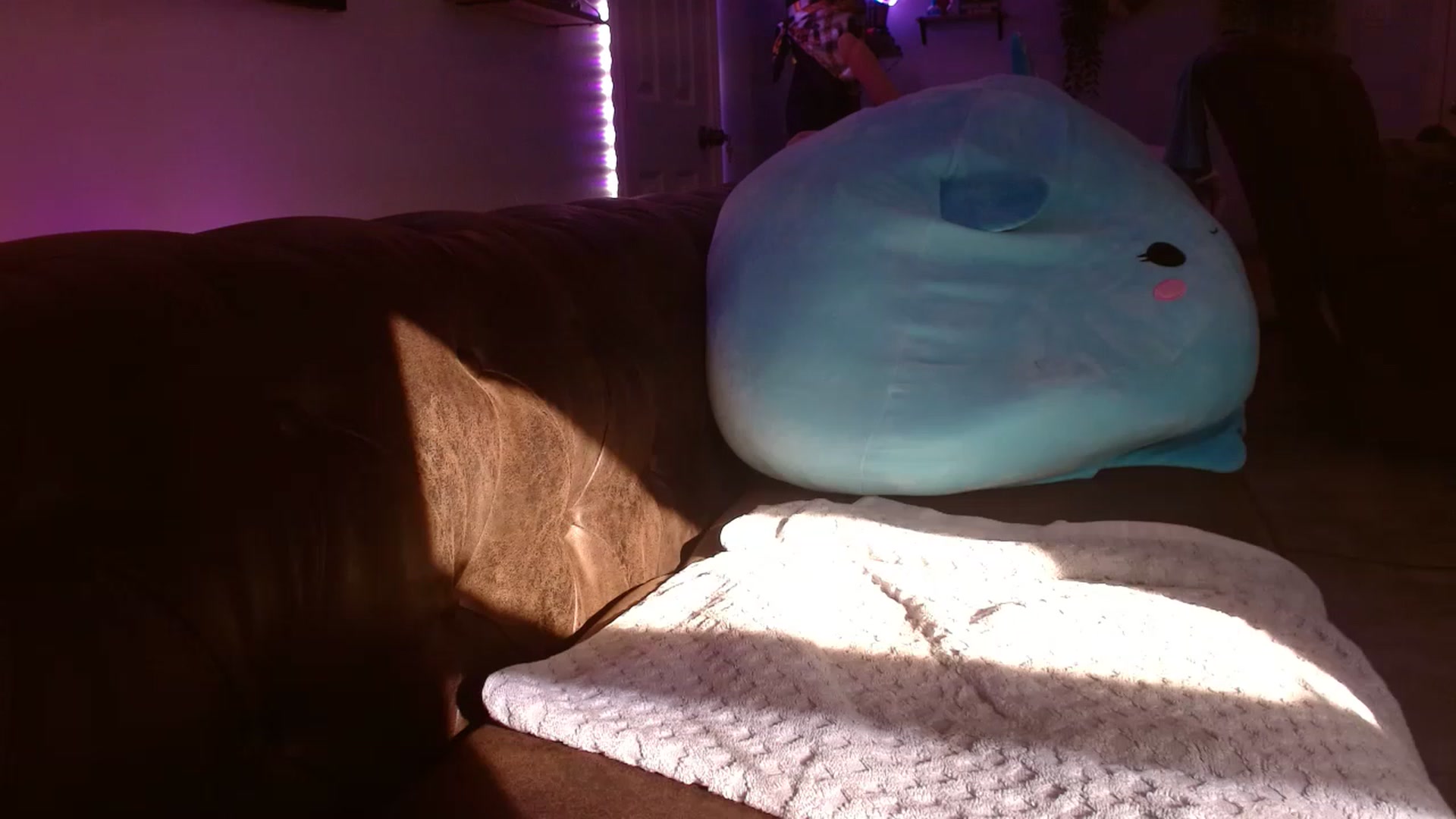 Gallery image thumbnail from BunnyNextDoor's myfreecams stream on, 01/19/2023, 23:32 image 6 of 20