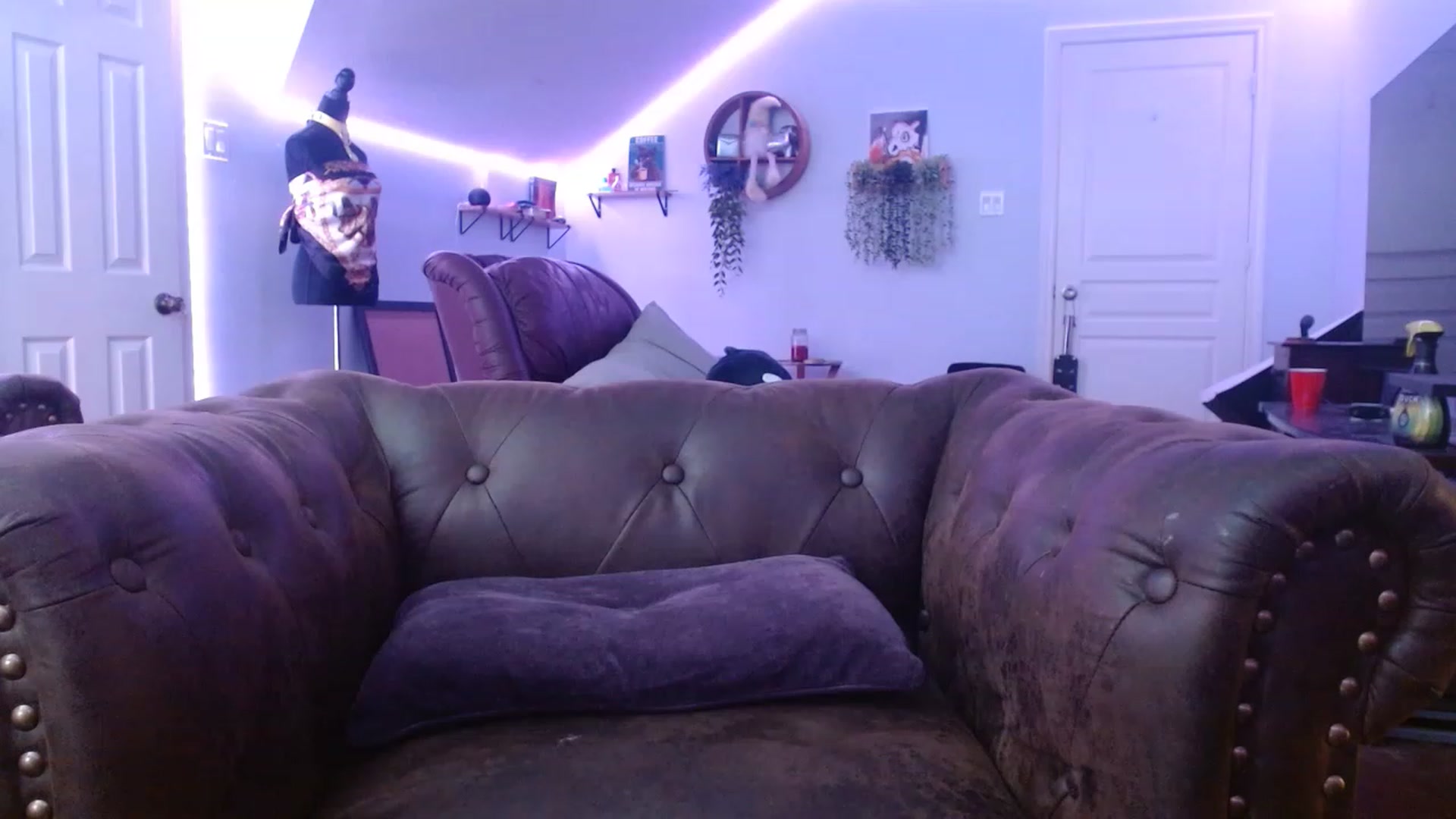 Gallery image thumbnail from BunnyNextDoor's myfreecams stream on, 01/27/2023, 20:16 image 9 of 20