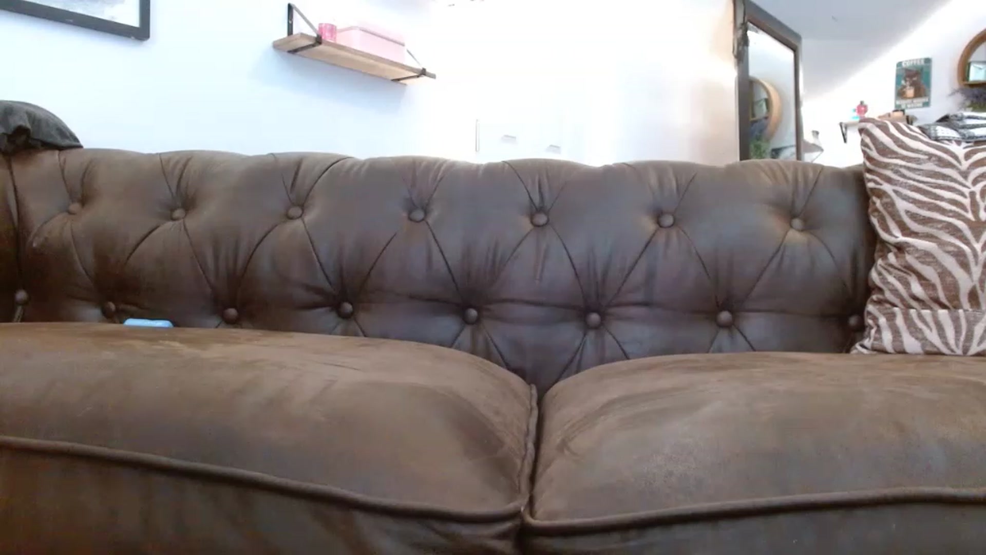 Gallery image thumbnail from BunnyNextDoor's myfreecams stream on, 04/15/2023, 17:37 image 11 of 20