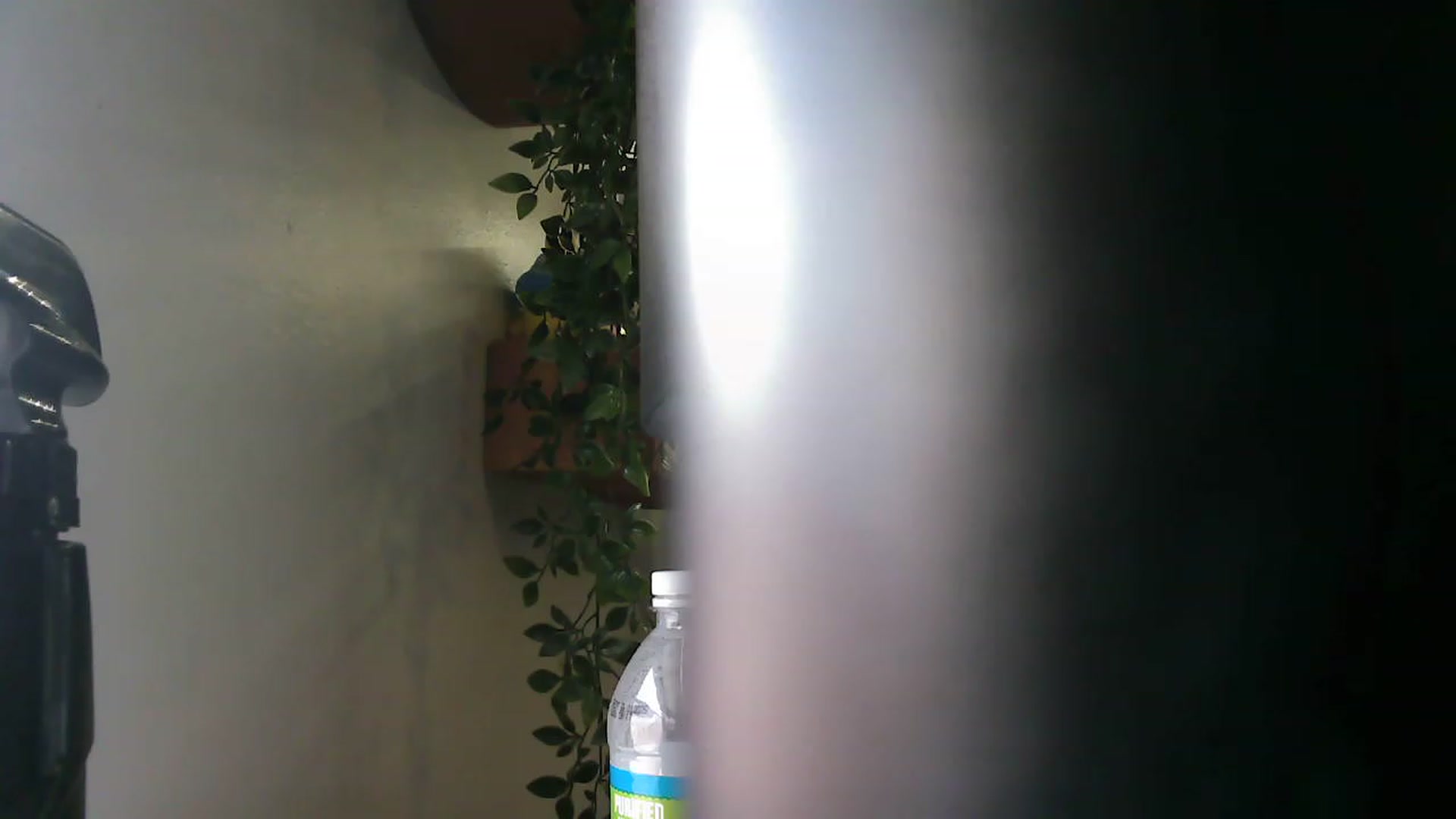 Gallery image thumbnail from BunnyNextDoor's myfreecams stream on, 04/24/2023, 17:03 image 2 of 20