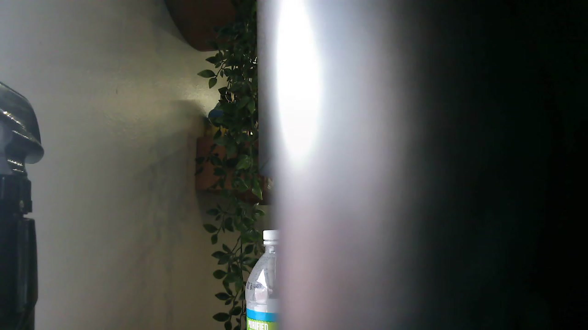 Gallery image thumbnail from BunnyNextDoor's myfreecams stream on, 04/24/2023, 17:03 image 1 of 20