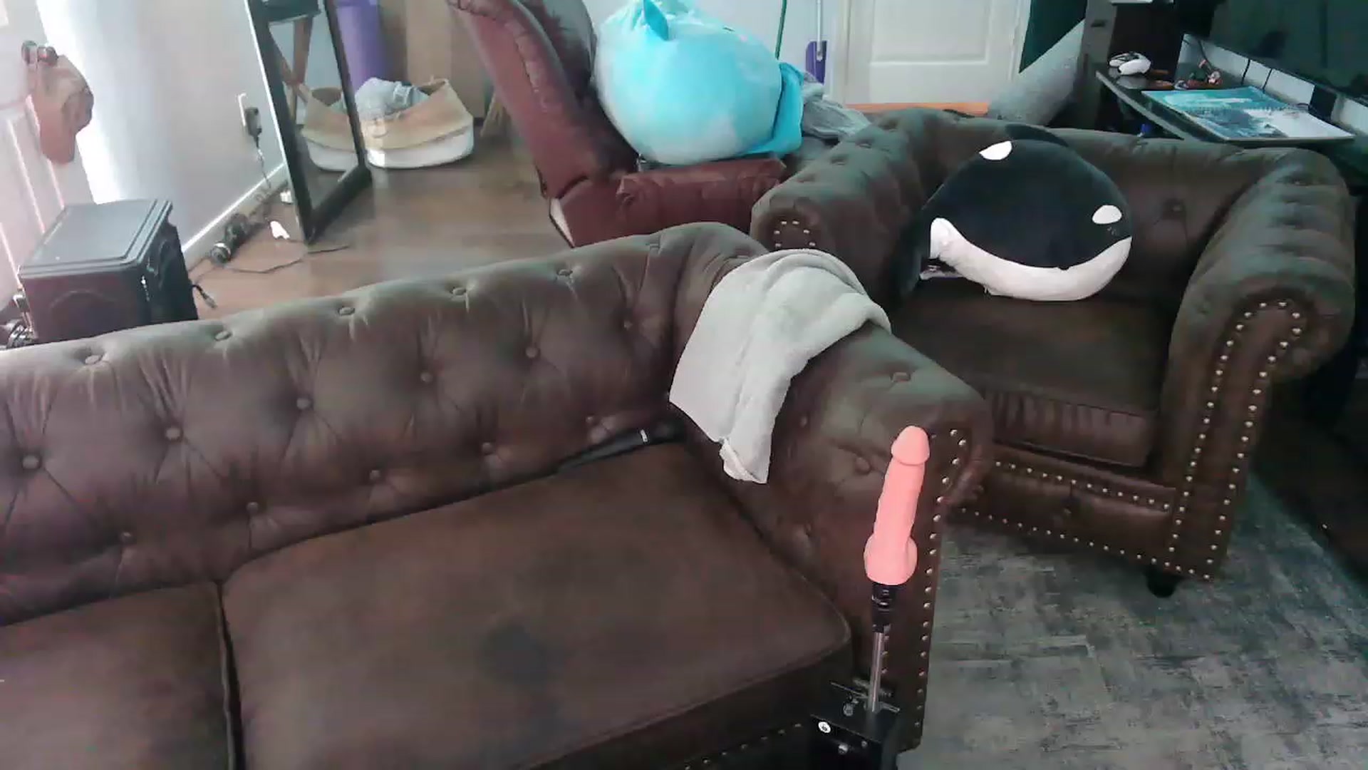 Gallery image thumbnail from BunnyNextDoor's myfreecams stream on, 04/25/2023, 18:53 image 5 of 20