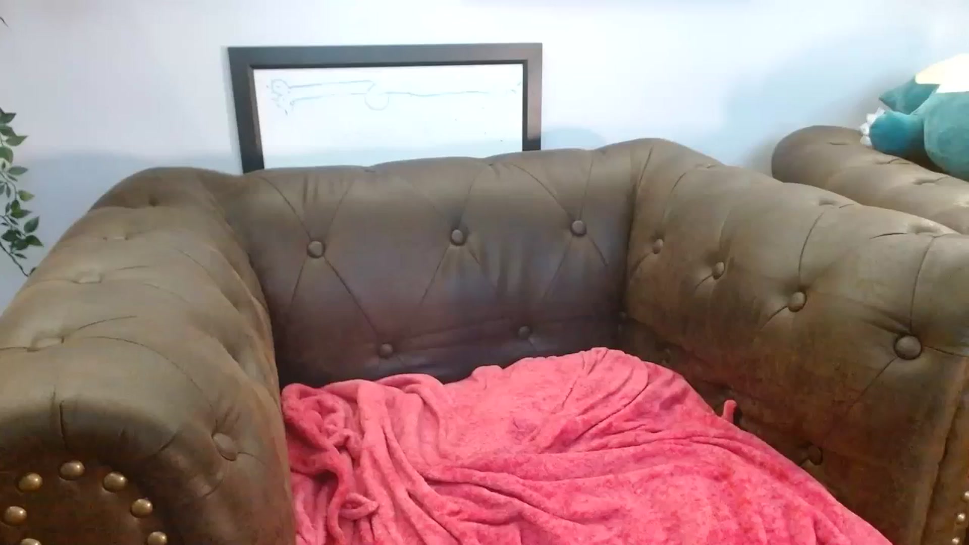 Gallery image thumbnail from BunnyNextDoor's myfreecams stream on, 07/08/2023, 09:14 image 4 of 20