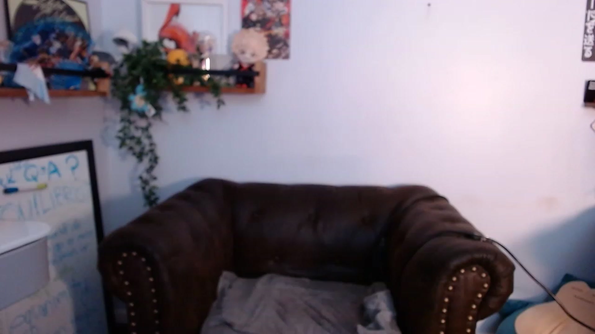 Gallery image thumbnail from BunnyNextDoor's myfreecams stream on, 07/23/2023, 13:57 image 7 of 20