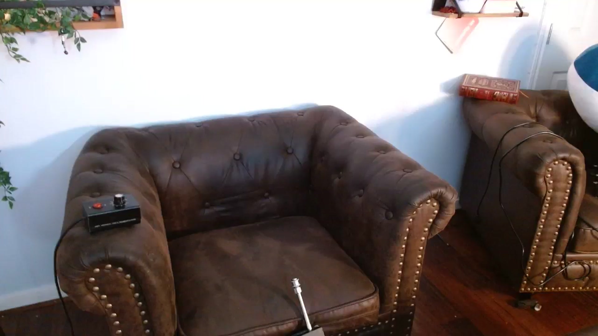 Gallery image thumbnail from BunnyNextDoor's myfreecams stream on, 07/26/2023, 13:59 image 19 of 20