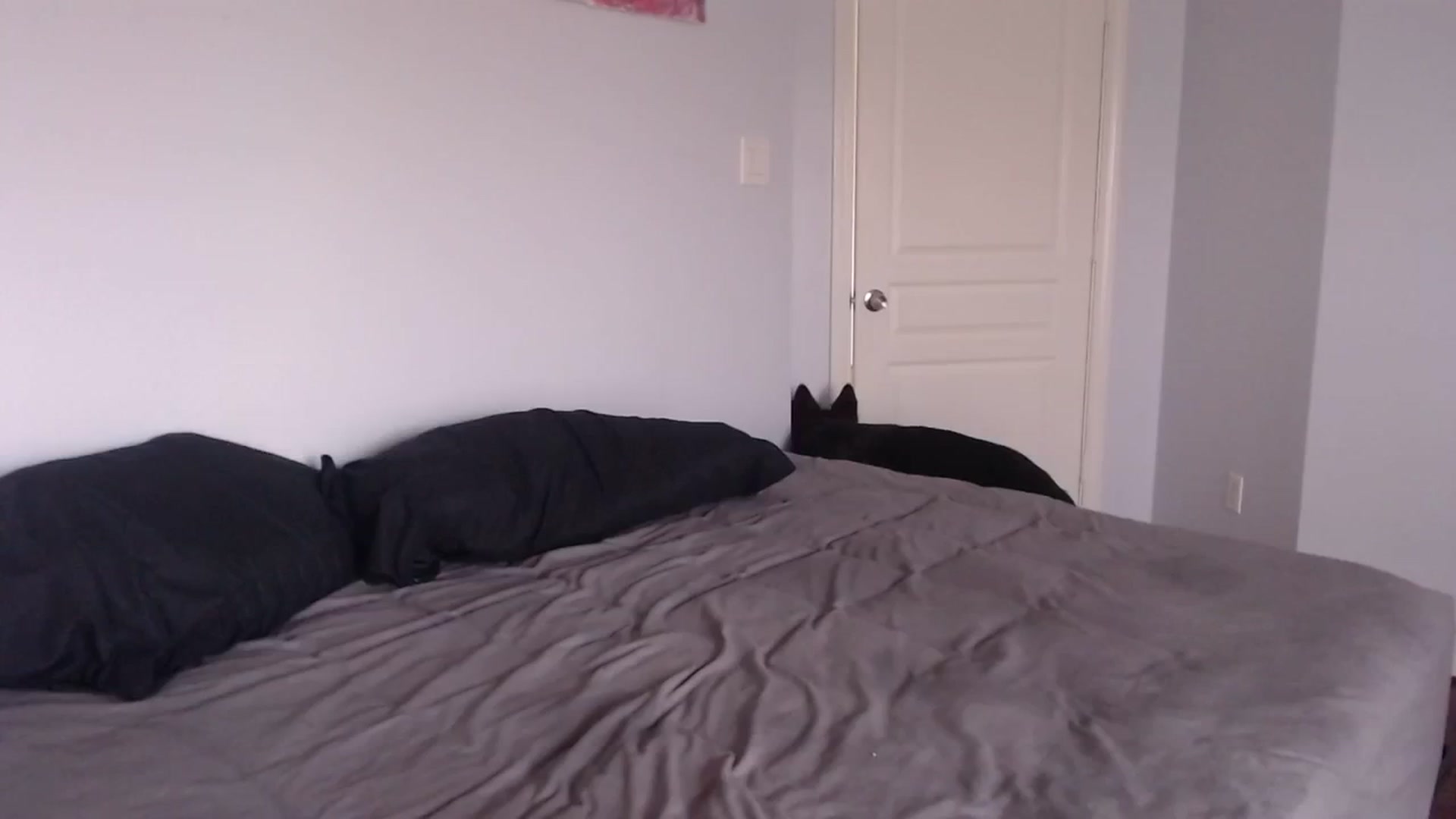 Gallery image thumbnail from BunnyNextDoor's myfreecams stream on, 08/26/2023, 18:54 image 14 of 20