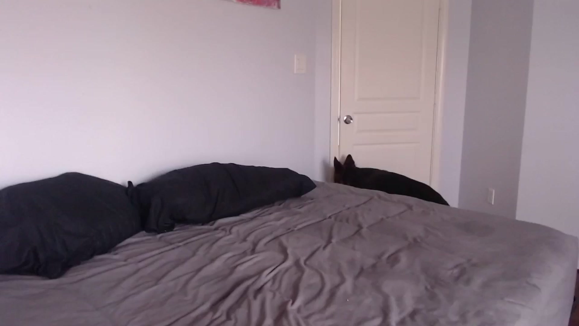 Gallery image thumbnail from BunnyNextDoor's myfreecams stream on, 08/26/2023, 18:54 image 18 of 20