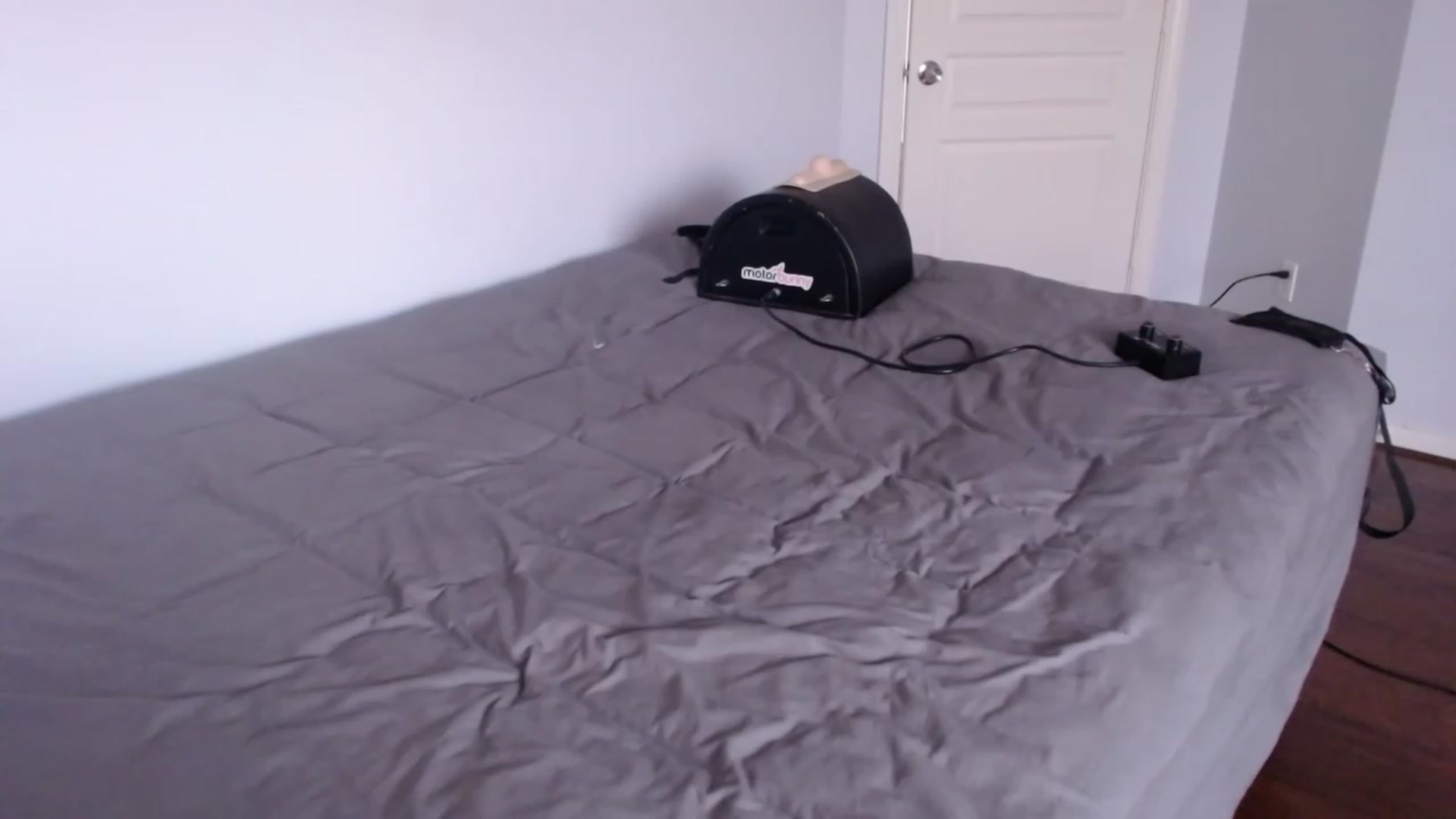 Gallery image thumbnail from BunnyNextDoor's myfreecams stream on, 08/30/2023, 20:06 image 16 of 20