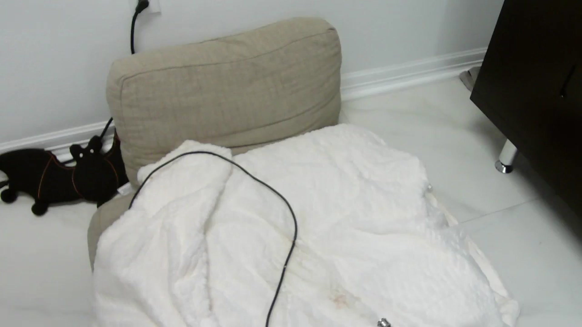 Gallery image thumbnail from BunnyNextDoor's myfreecams stream on, 10/31/2023, 17:05 image 14 of 20