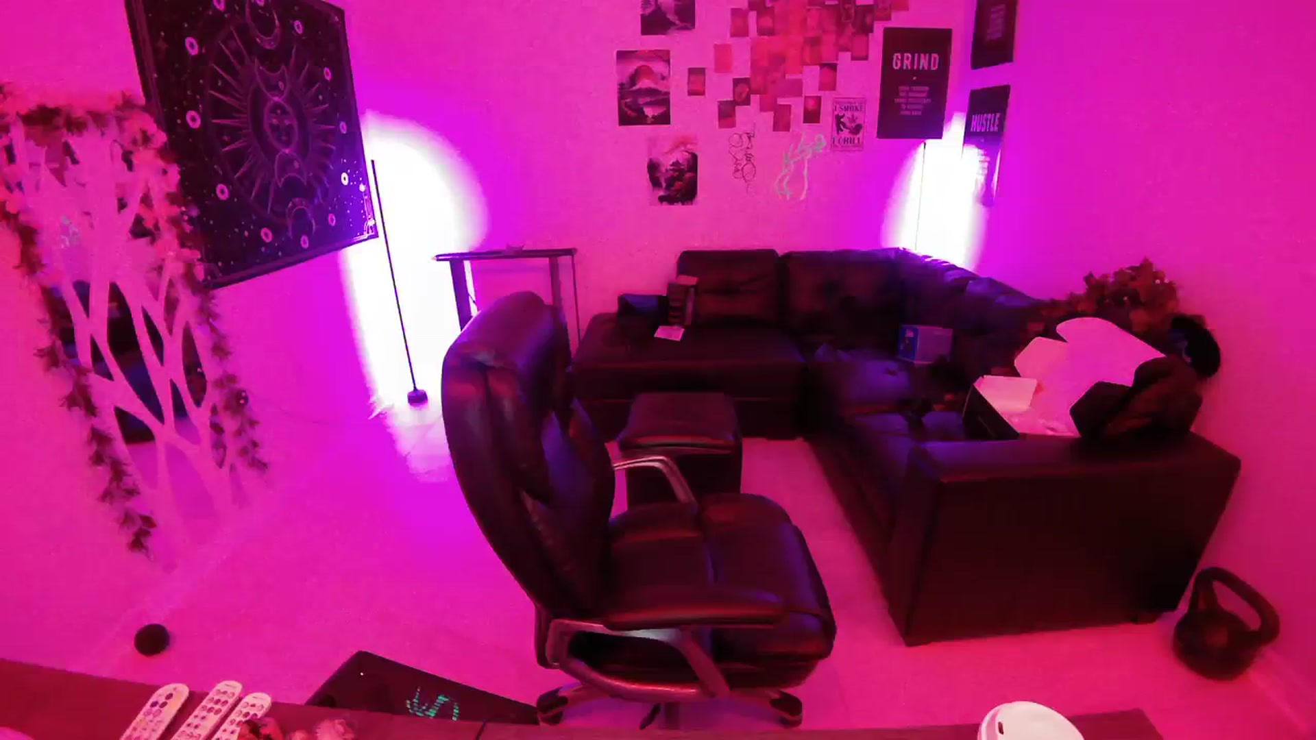 Gallery image thumbnail from BunnyNextDoor's myfreecams stream on, 01/02/2024, 15:24 image 6 of 20