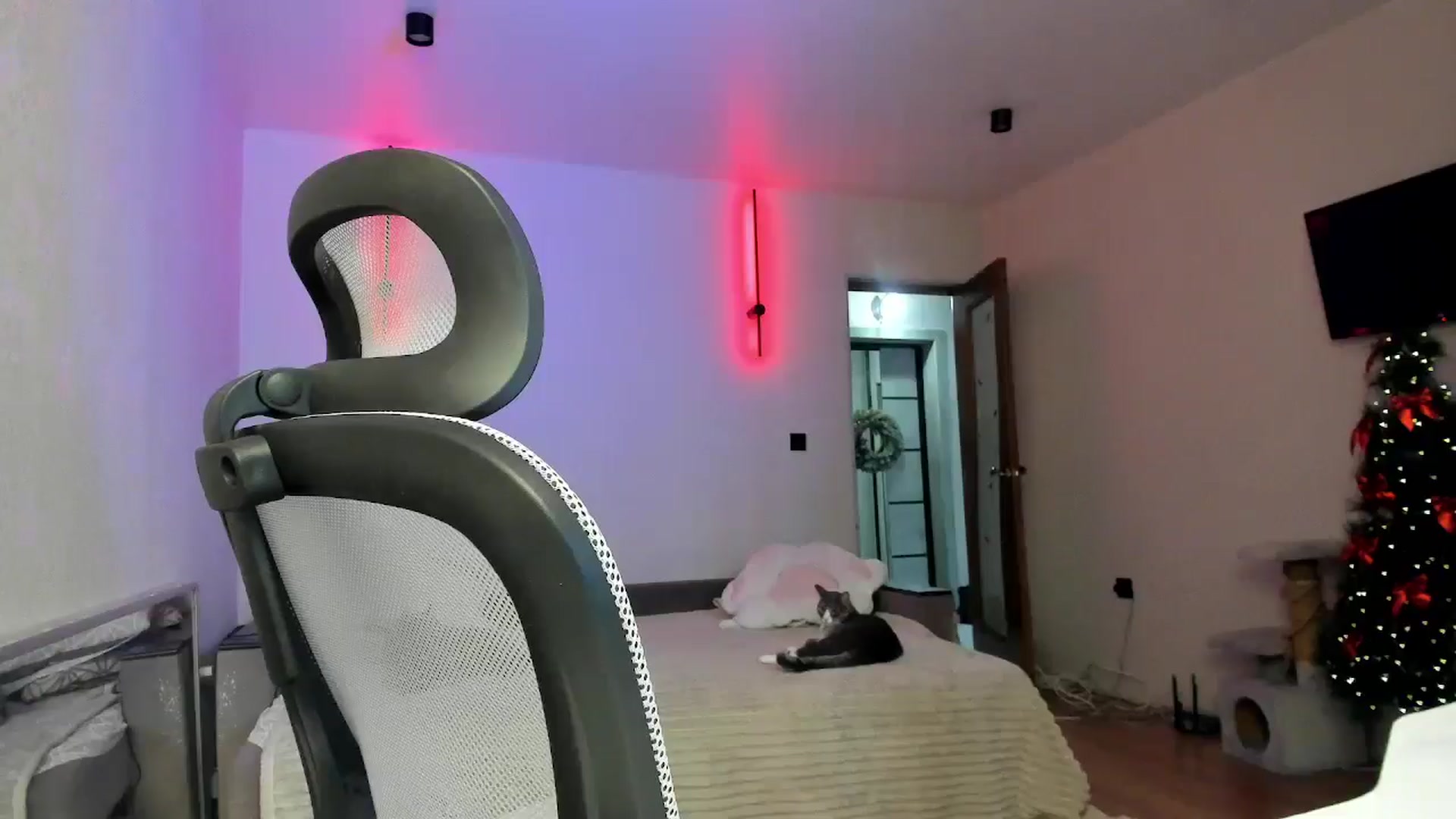 Gallery image thumbnail from Bunny_luvv_'s myfreecams stream on, 12/25/2025, 06:59 image 12 of 20