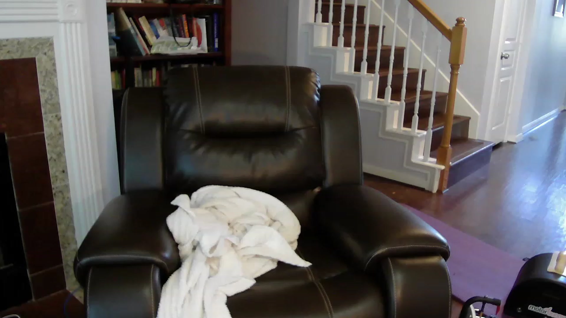 Gallery image thumbnail from Bunnydathug's myfreecams stream on, 04/29/2023, 19:49 image 14 of 20