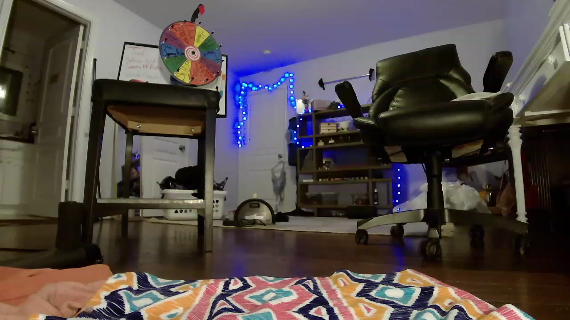 Gallery image thumbnail from Bunnydathug's myfreecams stream on, 05/12/2023, 02:25 image 14 of 20