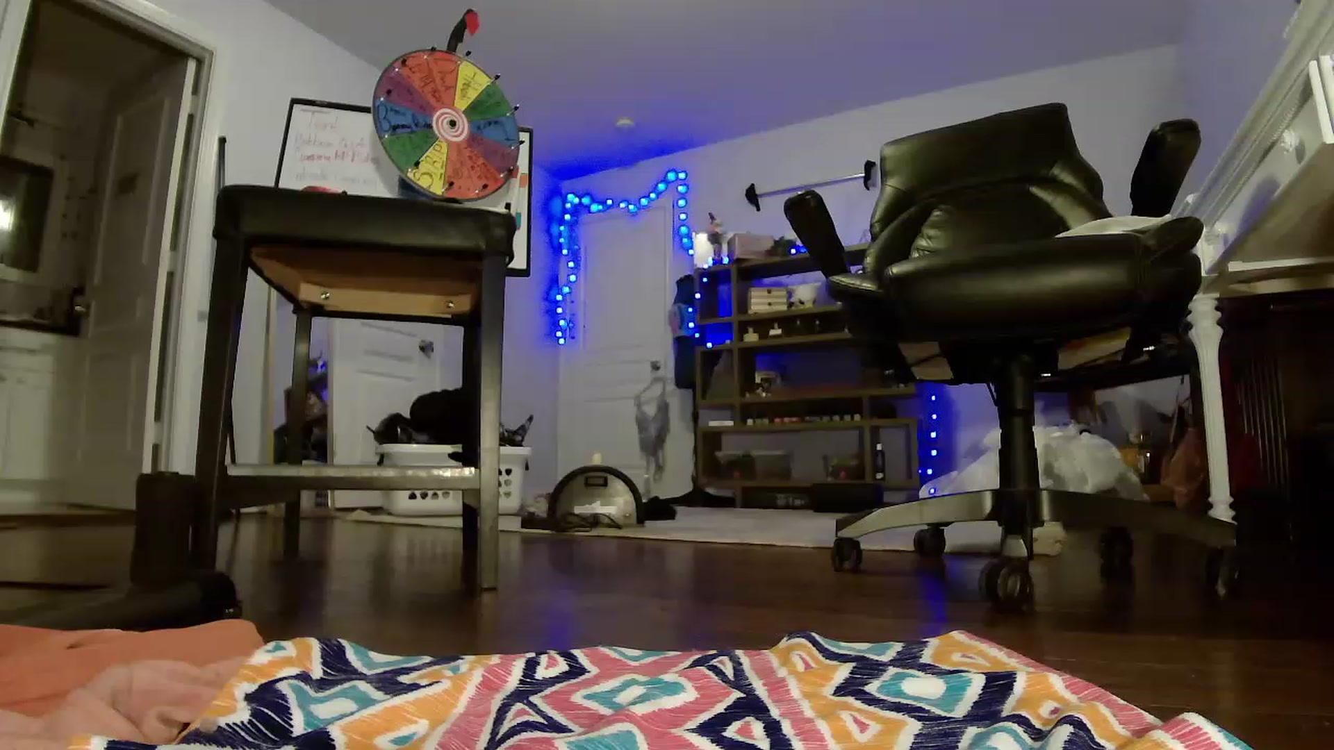 Gallery image thumbnail from Bunnydathug's myfreecams stream on, 05/12/2023, 02:25 image 16 of 20