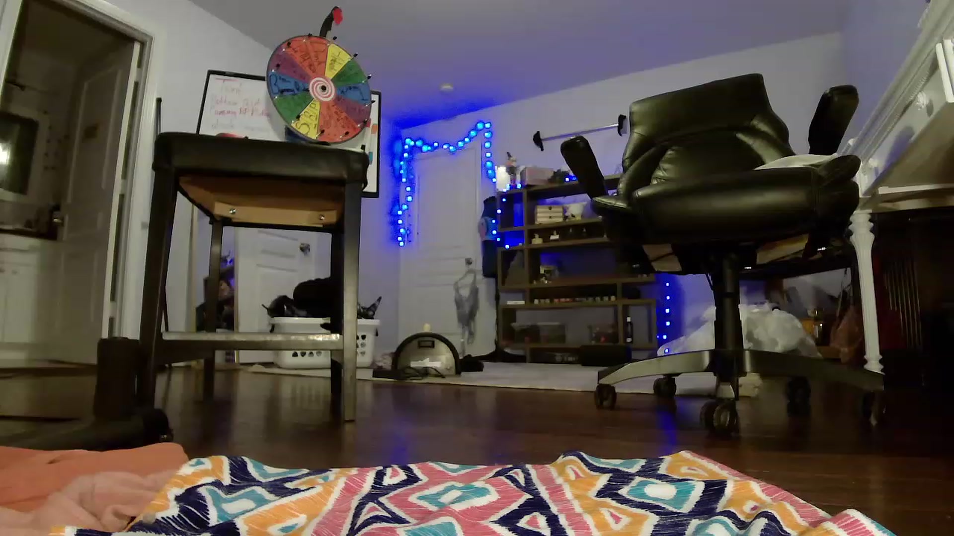 Gallery image thumbnail from Bunnydathug's myfreecams stream on, 05/12/2023, 02:25 image 15 of 20