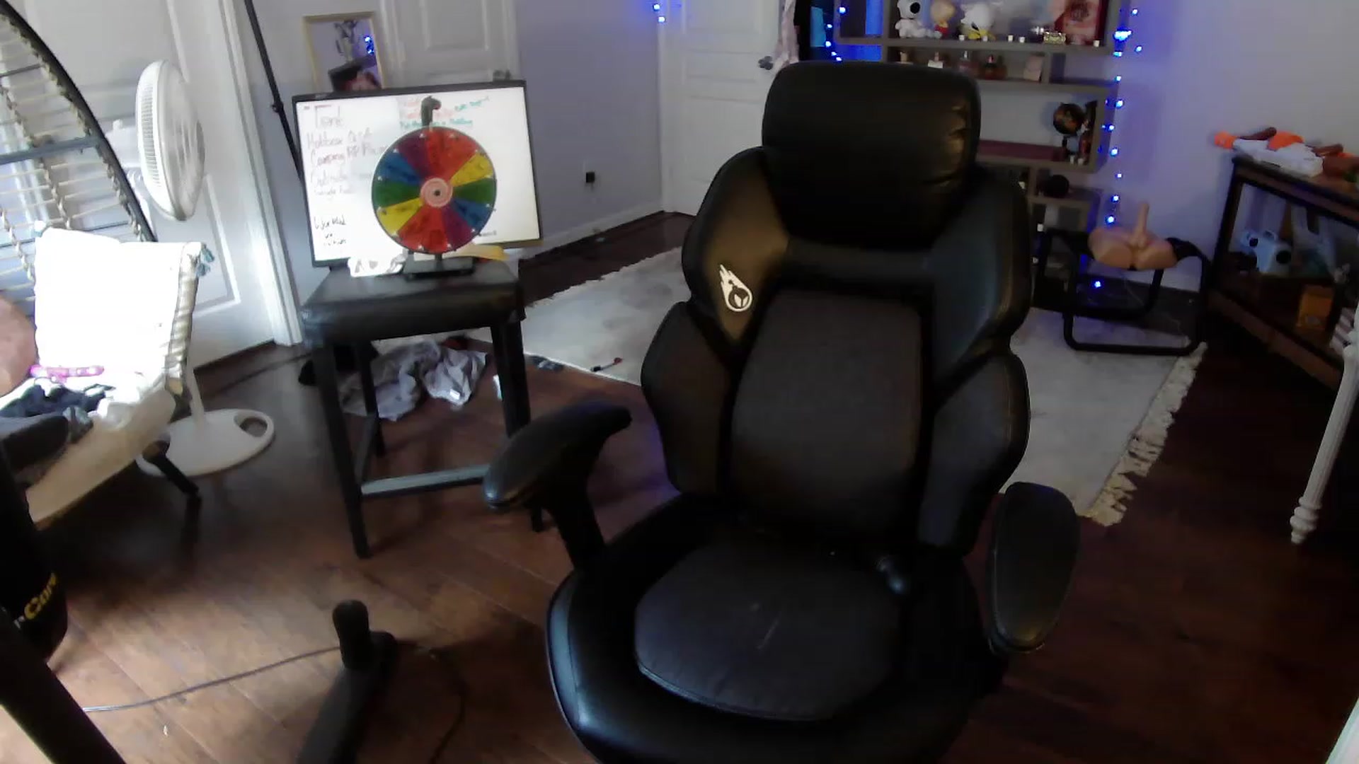 Gallery image thumbnail from Bunnydathug's myfreecams stream on, 05/25/2023, 17:38 image 13 of 20