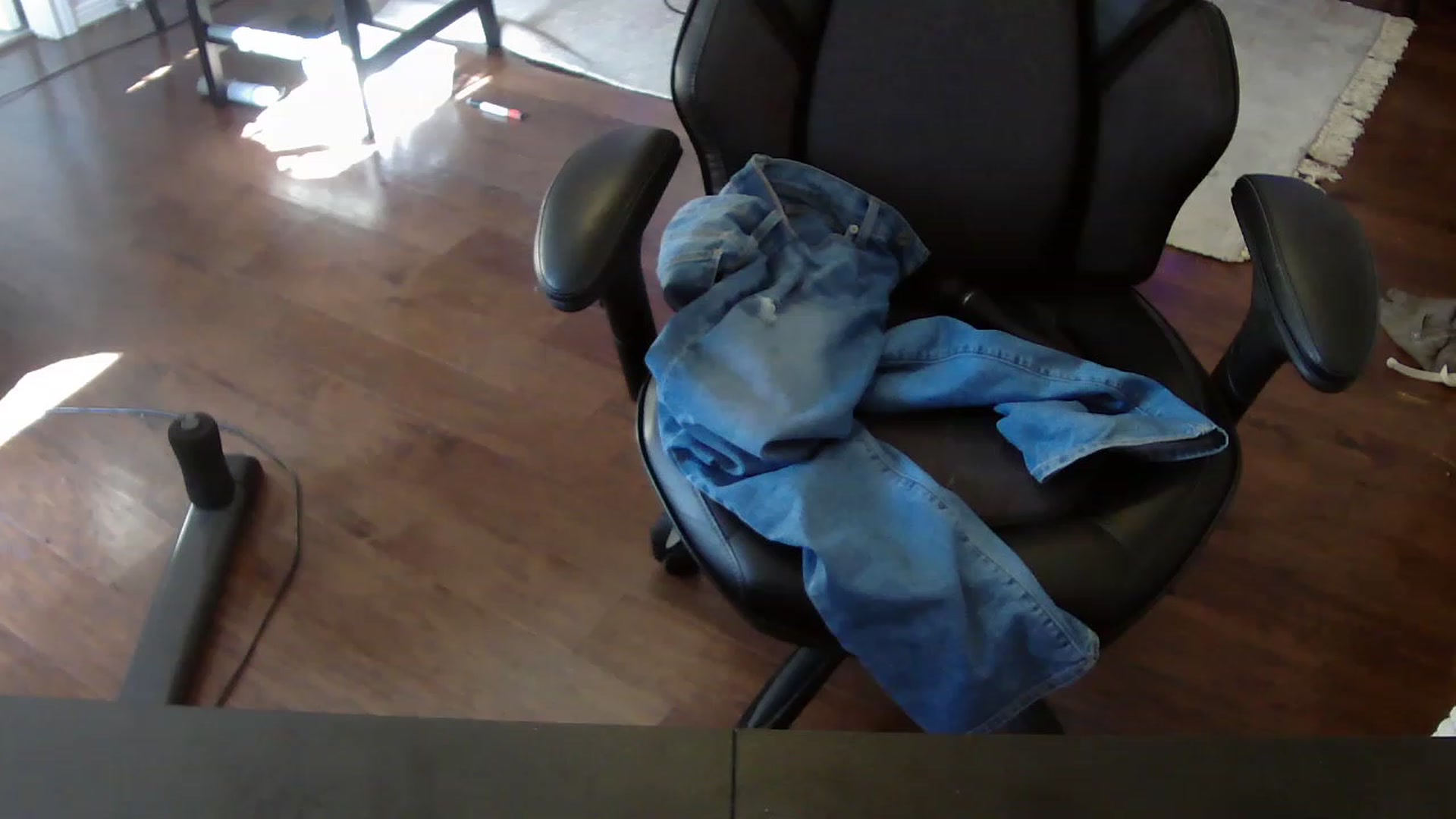 Gallery image thumbnail from Bunnydathug's myfreecams stream on, 05/28/2023, 14:08 image 17 of 20