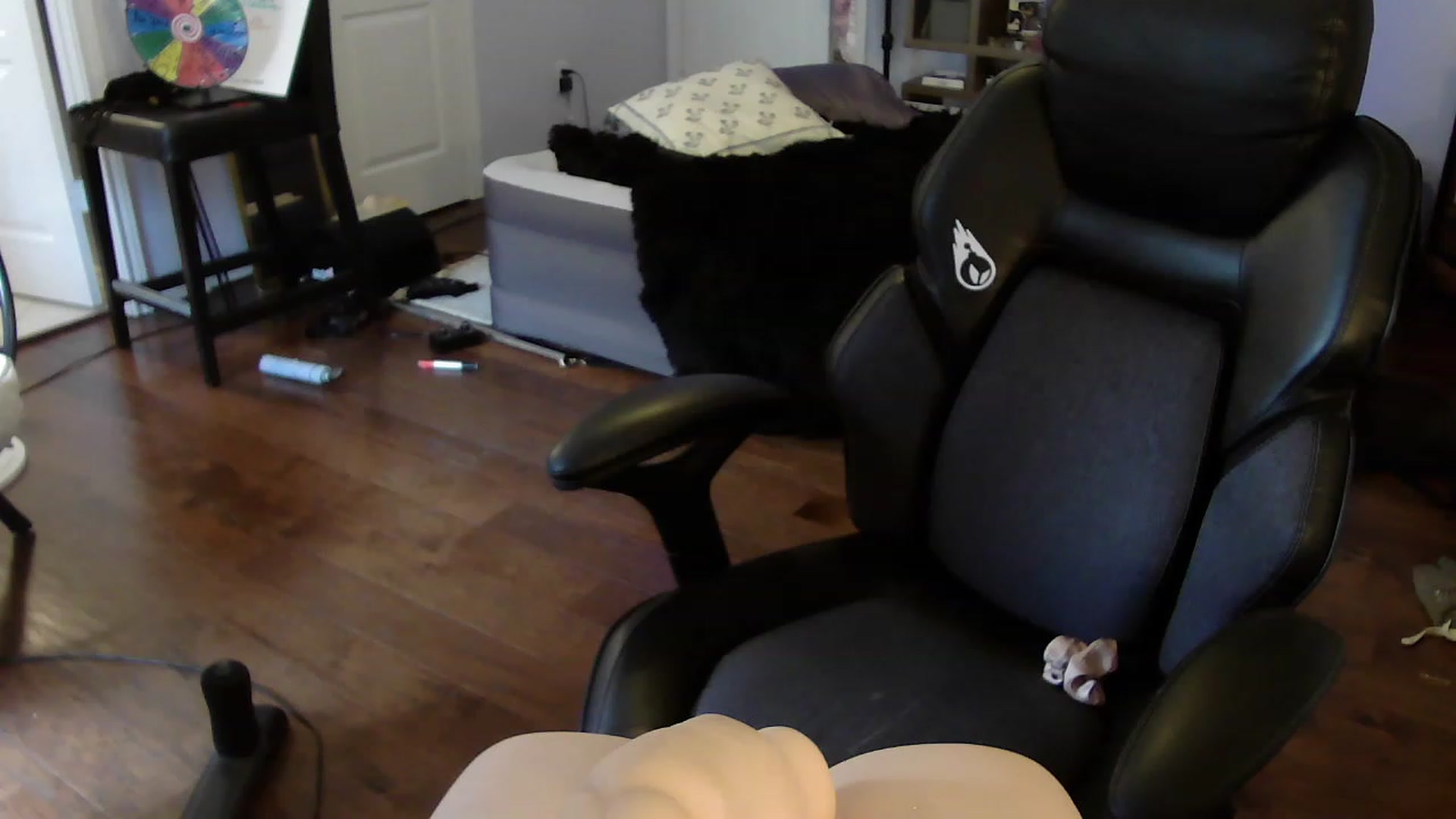 Gallery image thumbnail from Bunnydathug's myfreecams stream on, 05/28/2023, 17:28 image 5 of 20