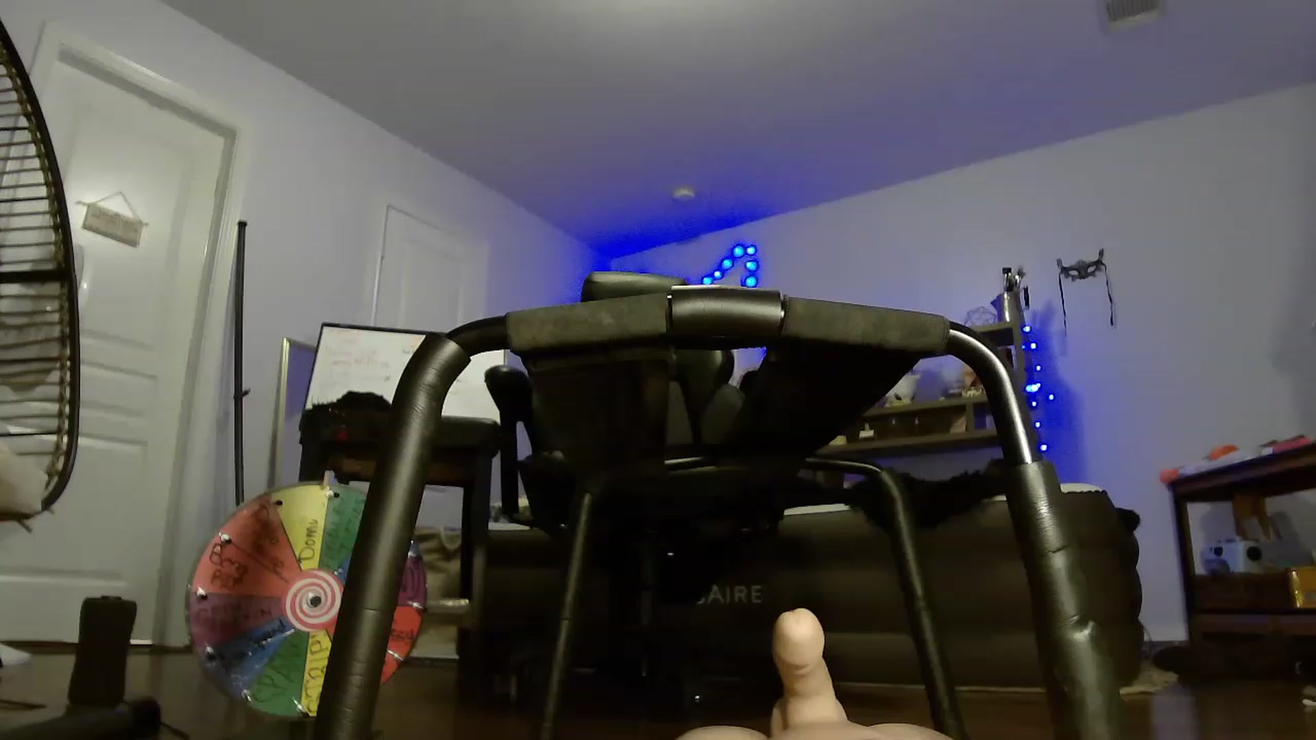 Gallery image thumbnail from Bunnydathug's myfreecams stream on, 05/30/2023, 11:05 image 16 of 20