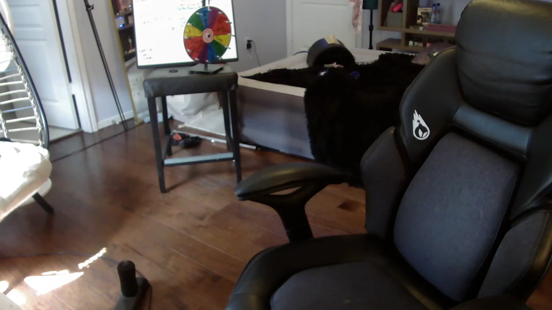Gallery image thumbnail from Bunnydathug's myfreecams stream on, 06/01/2023, 15:57 image 12 of 20