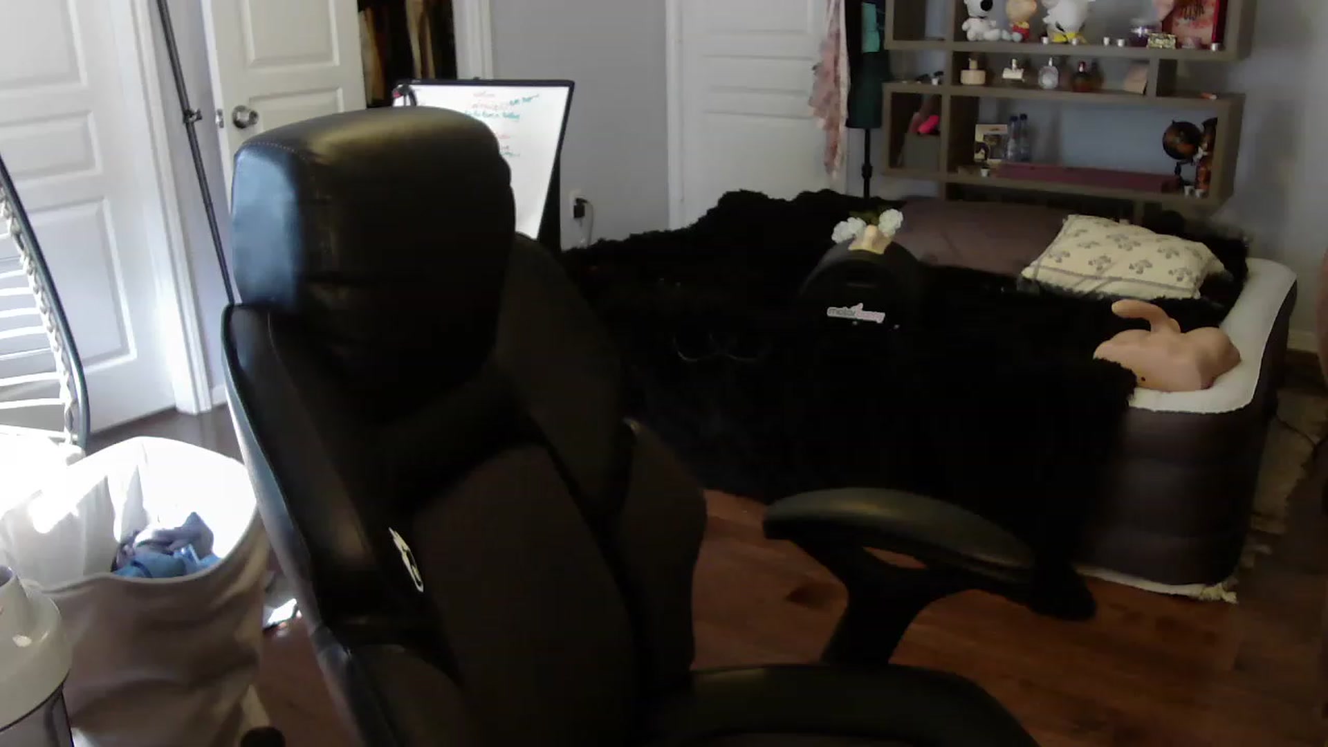 Gallery image thumbnail from Bunnydathug's myfreecams stream on, 06/05/2023, 17:22 image 4 of 20