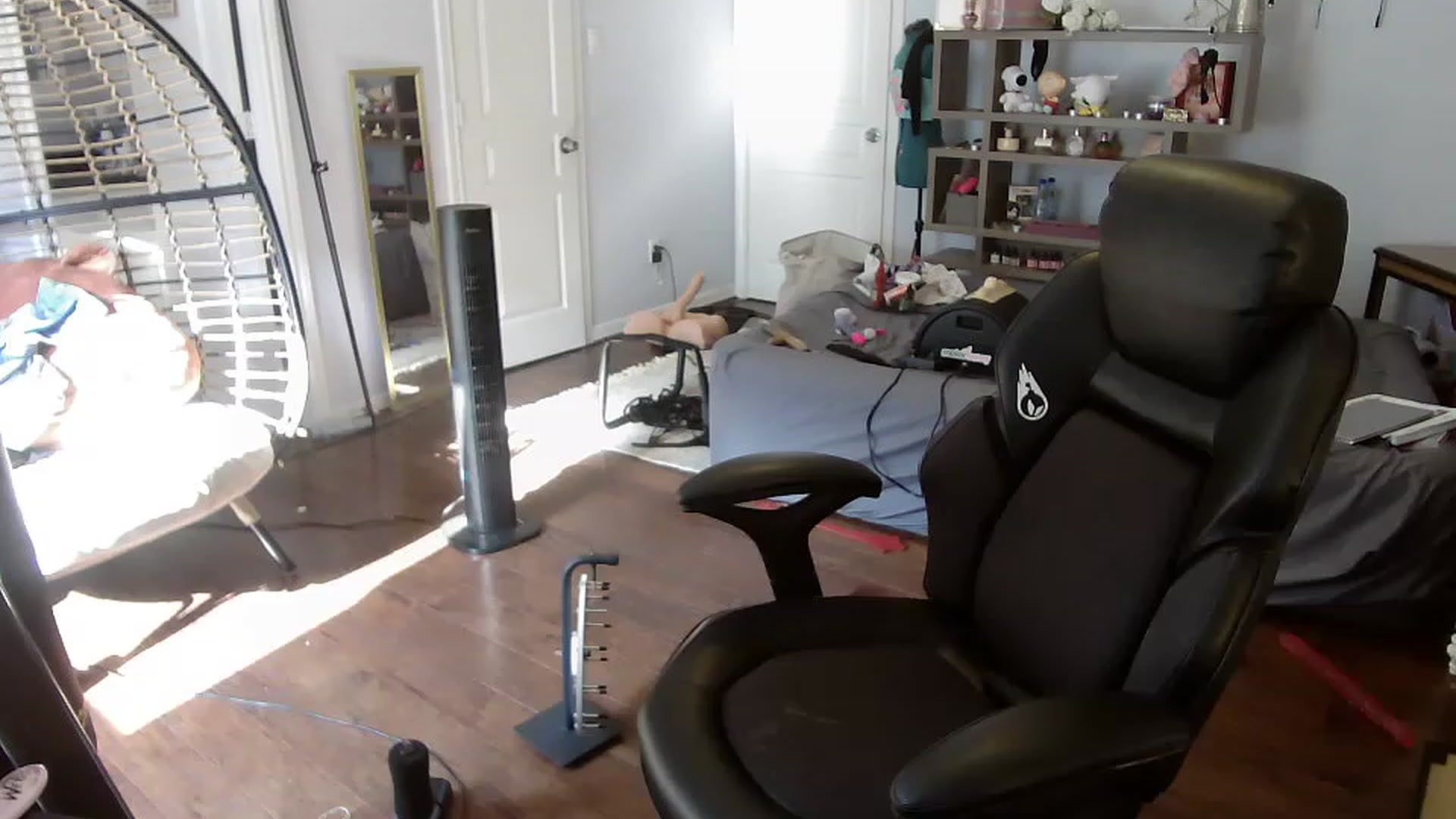 Gallery image thumbnail from Bunnydathug's myfreecams stream on, 06/19/2023, 15:25 image 7 of 20