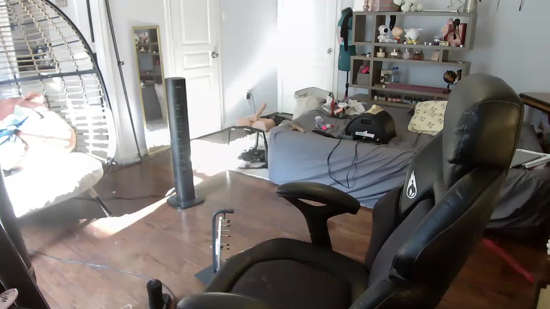 Gallery image thumbnail from Bunnydathug's myfreecams stream on, 06/19/2023, 15:25 image 5 of 20