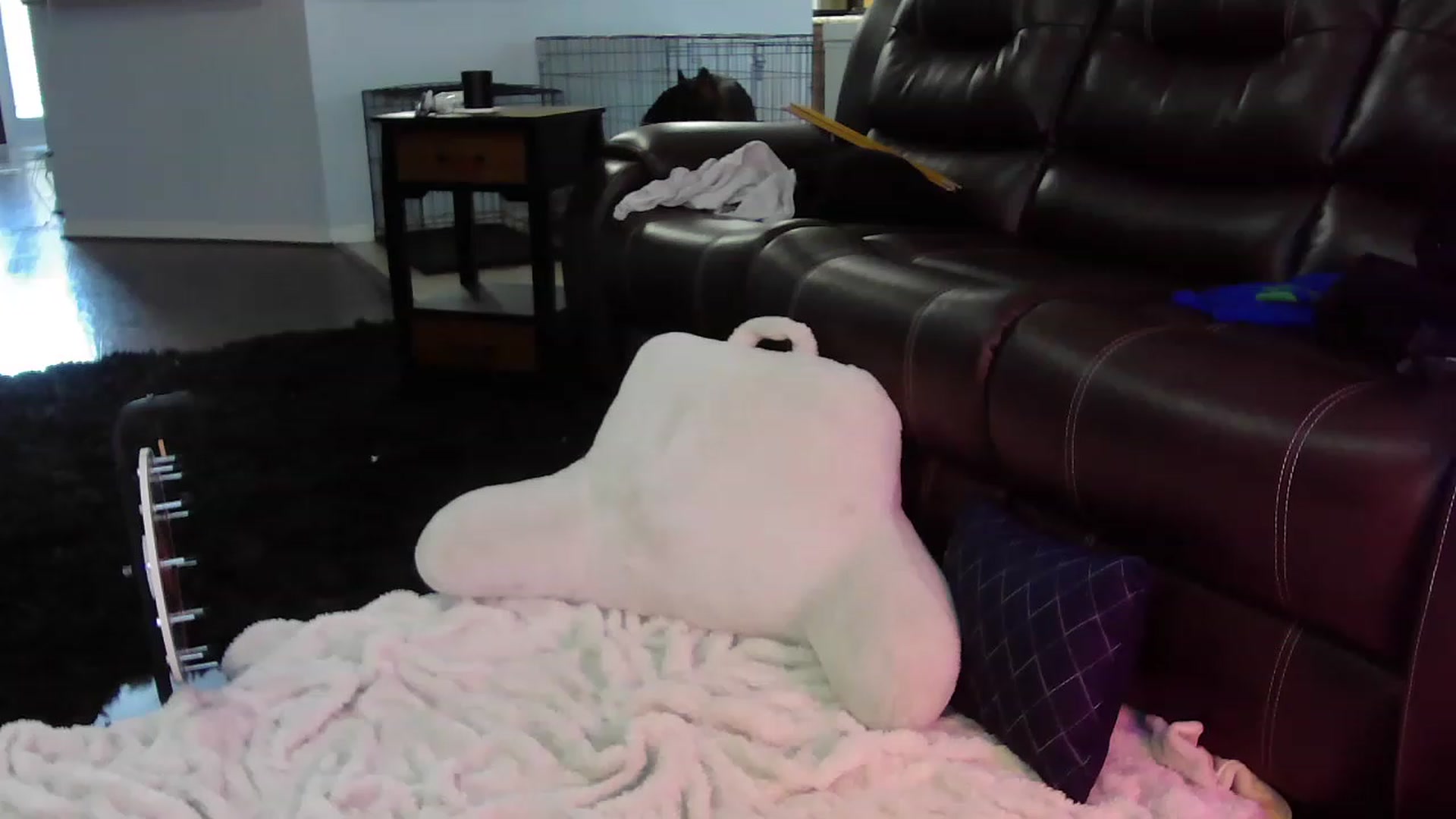 Gallery image thumbnail from Bunnydathug's myfreecams stream on, 06/28/2023, 14:22 image 4 of 20