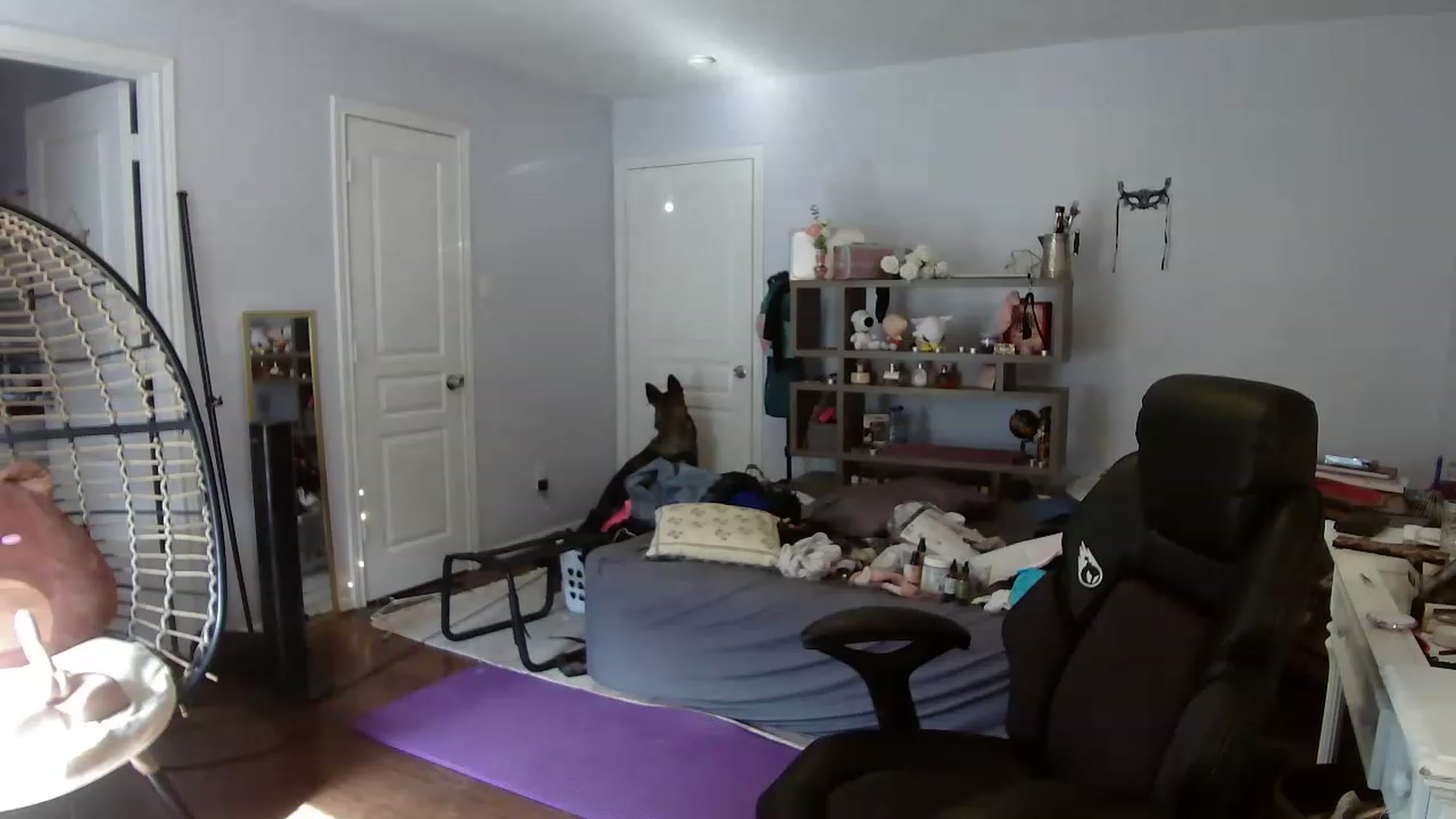 Gallery image thumbnail from Bunnydathug's myfreecams stream on, 06/29/2023, 17:40 image 8 of 20