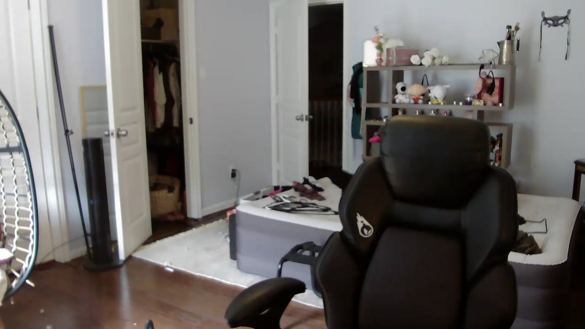 Gallery image thumbnail from Bunnydathug's myfreecams stream on, 07/15/2023, 15:57 image 12 of 20