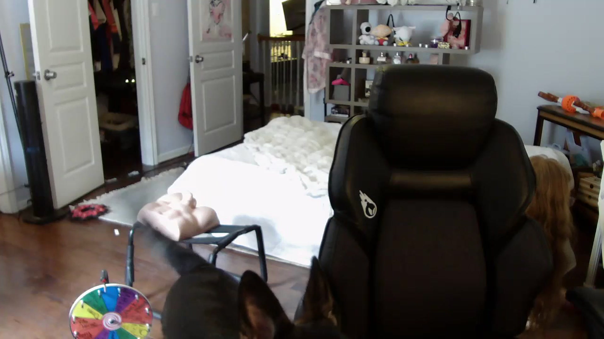 Gallery image thumbnail from Bunnydathug's myfreecams stream on, 07/15/2023, 16:48 image 18 of 20