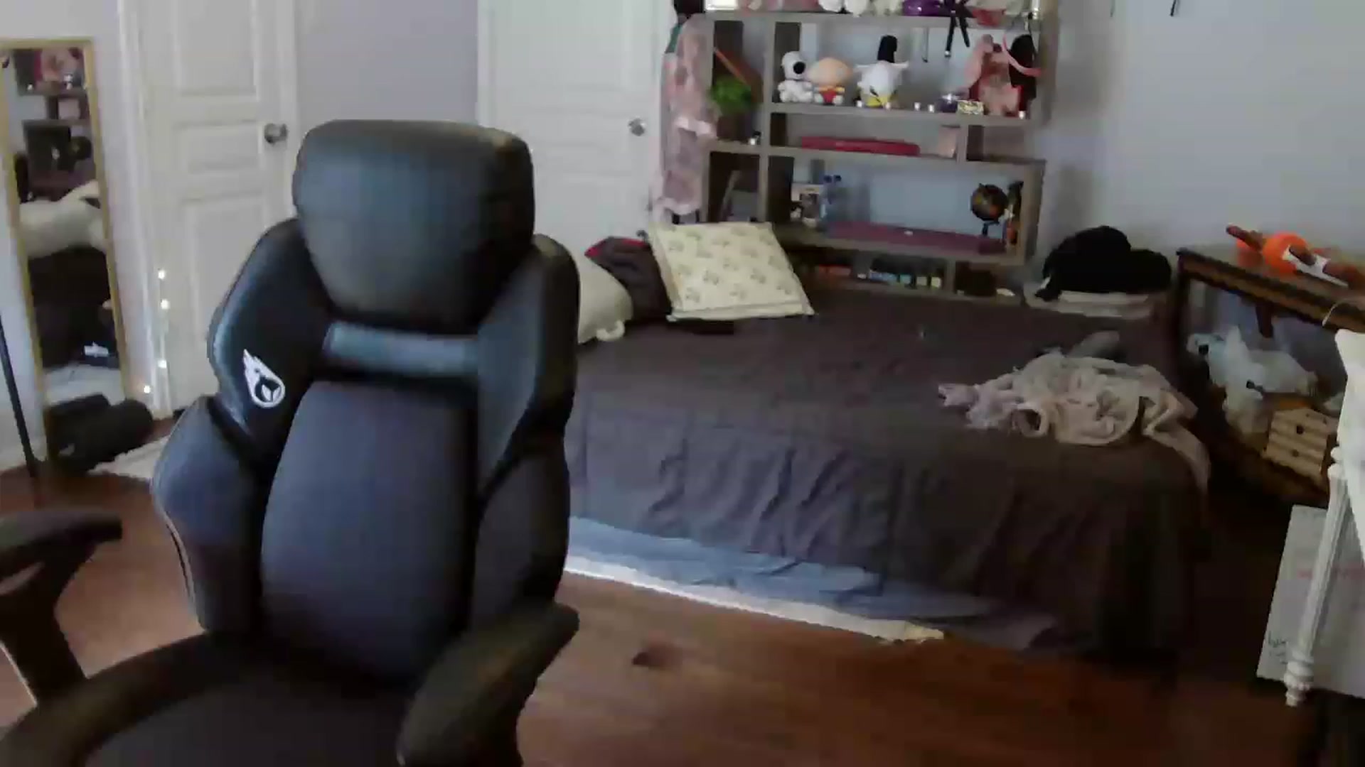 Gallery image thumbnail from Bunnydathug's myfreecams stream on, 07/28/2023, 15:19 image 17 of 20