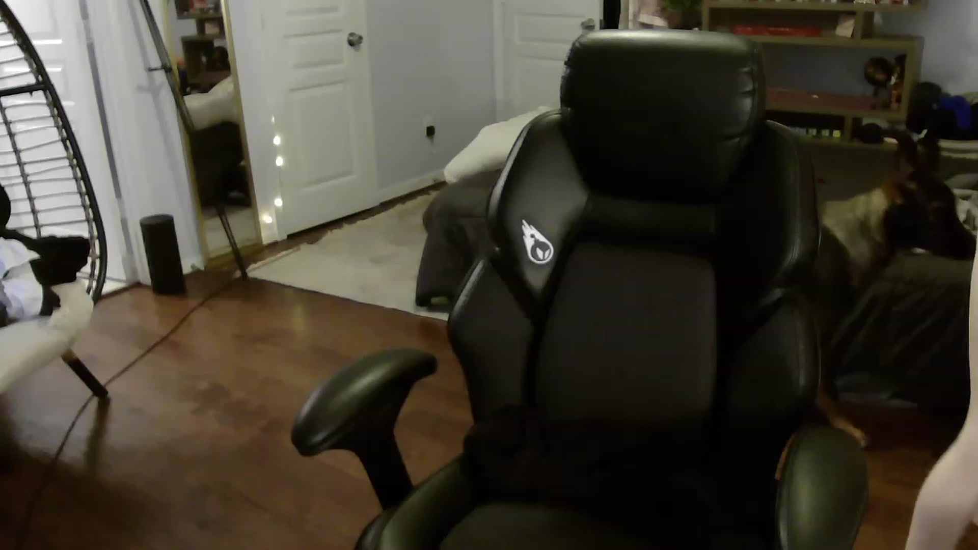 Gallery image thumbnail from Bunnydathug's myfreecams stream on, 08/01/2023, 12:00 image 9 of 20