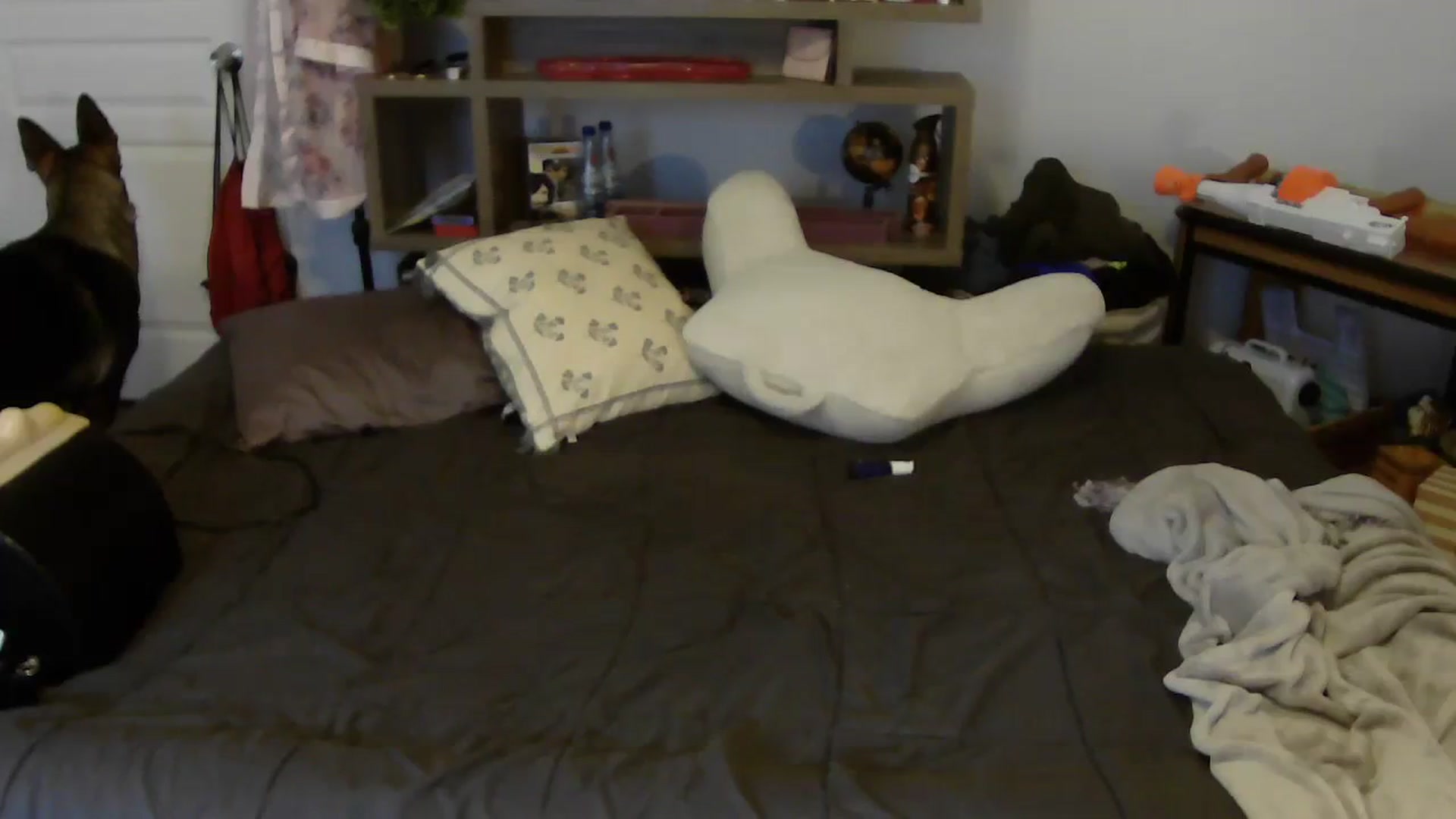 Gallery image thumbnail from Bunnydathug's myfreecams stream on, 08/04/2023, 13:03 image 15 of 20