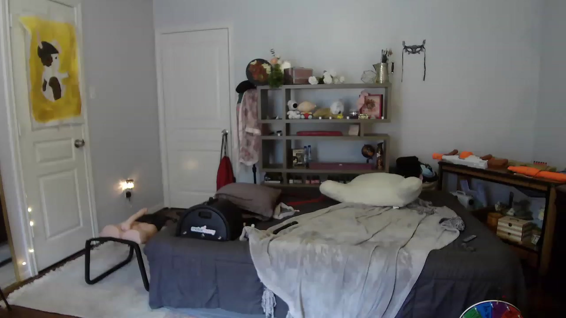 Gallery image thumbnail from Bunnydathug's myfreecams stream on, 08/11/2023, 17:05 image 5 of 20