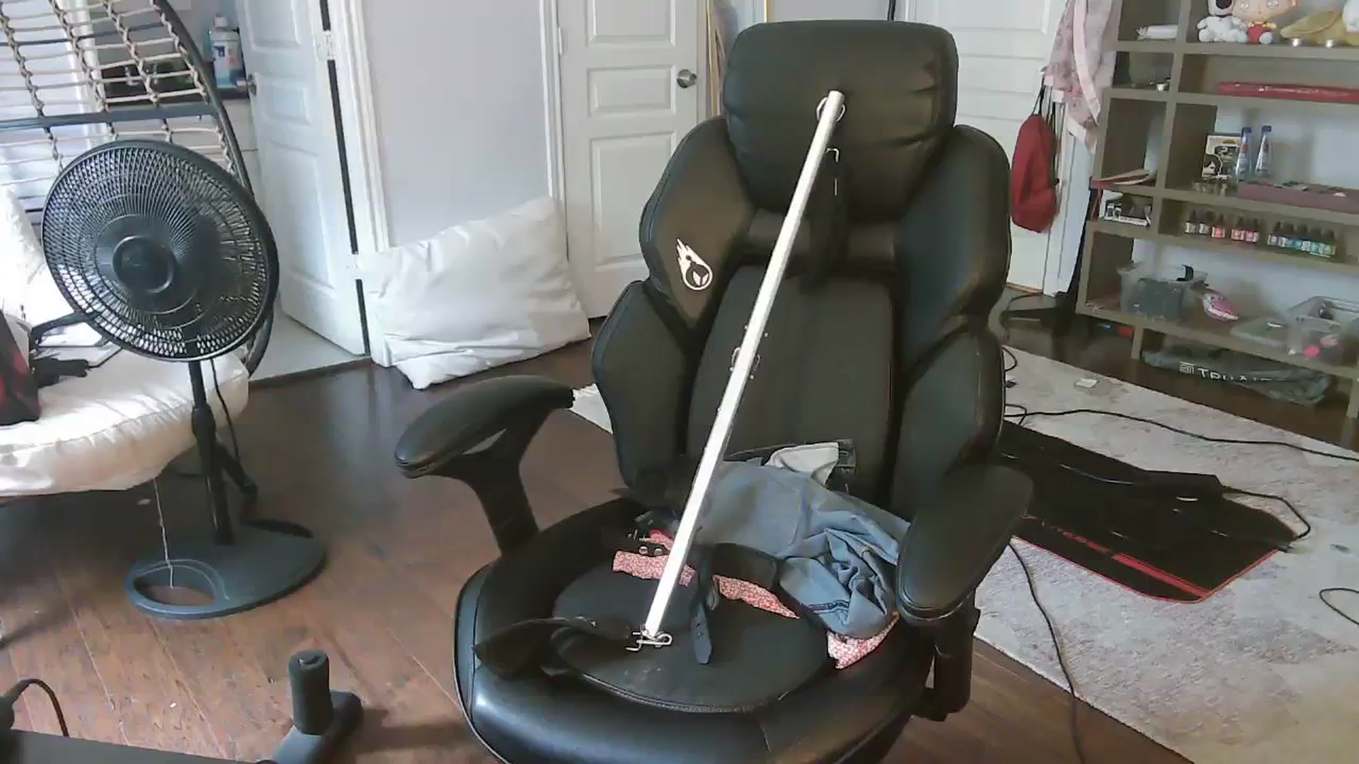 Gallery image thumbnail from Bunnydathug's myfreecams stream on, 09/23/2023, 17:45 image 14 of 20