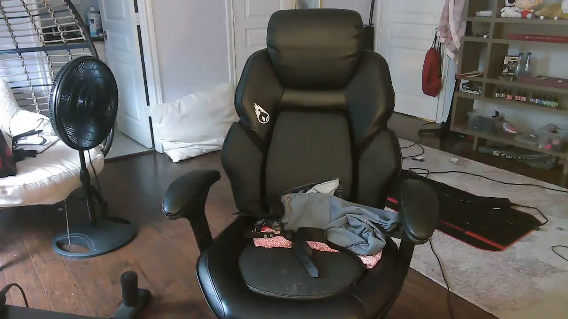 Gallery image thumbnail from Bunnydathug's myfreecams stream on, 09/23/2023, 17:45 image 13 of 20