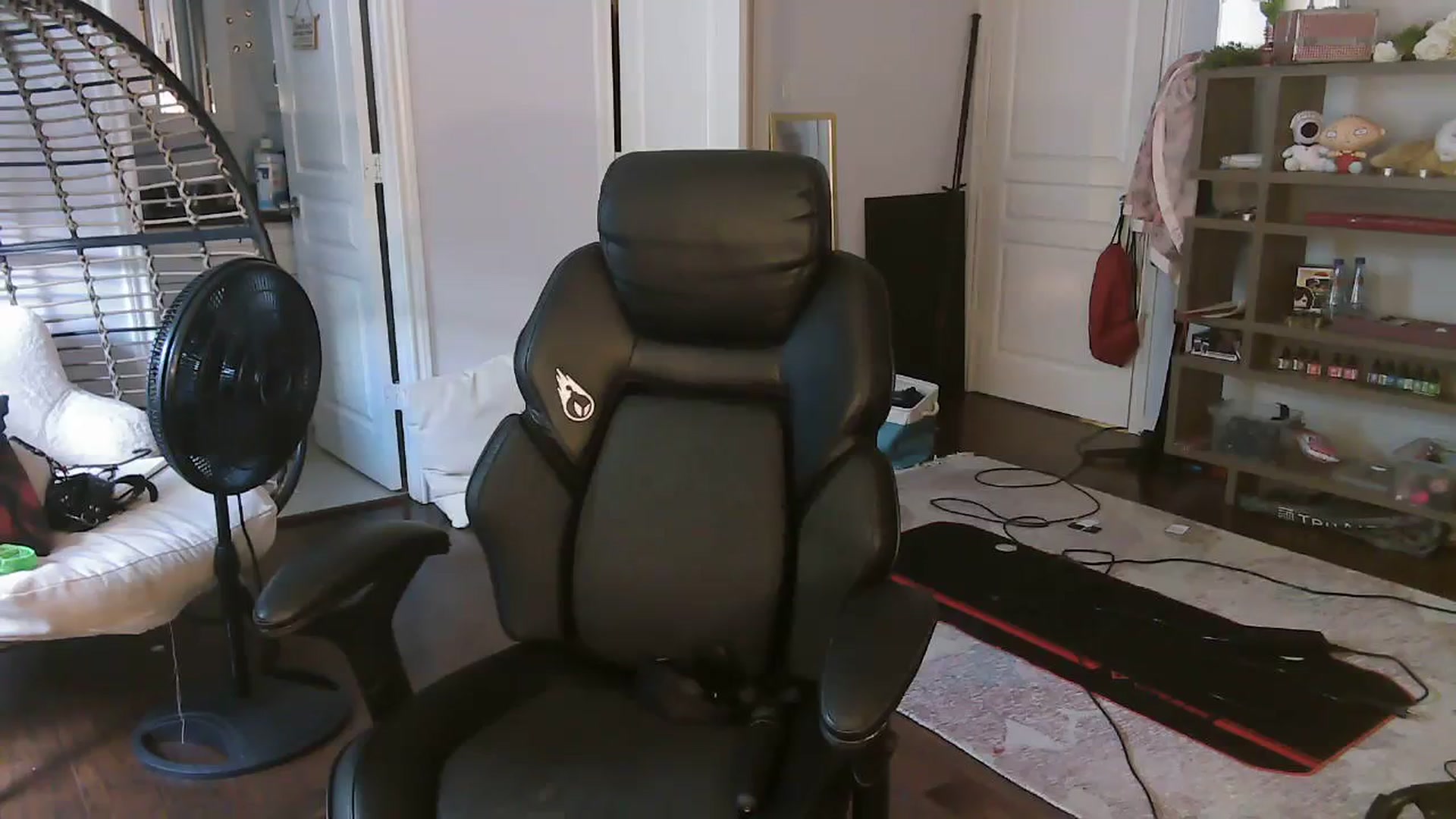 Gallery image thumbnail from Bunnydathug's myfreecams stream on, 09/23/2023, 21:36 image 10 of 20