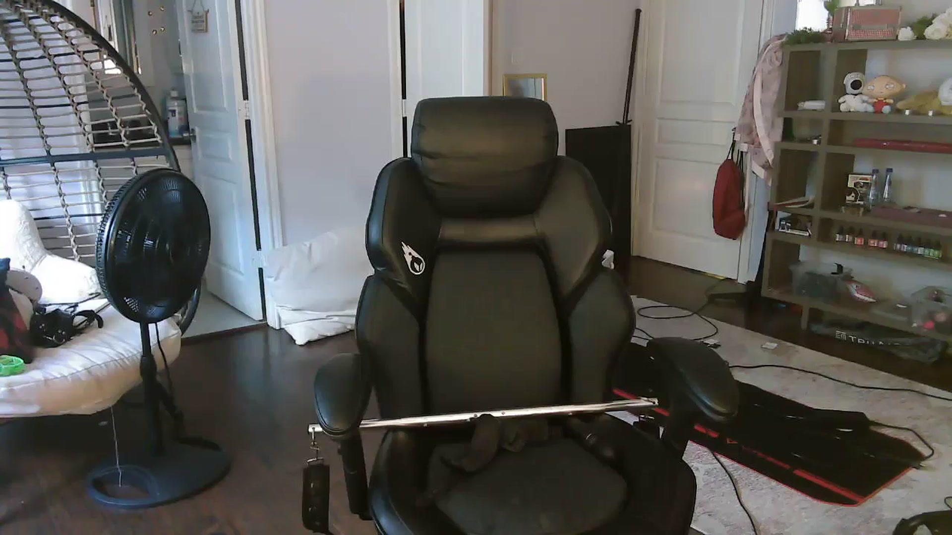 Gallery image thumbnail from Bunnydathug's myfreecams stream on, 09/23/2023, 21:36 image 1 of 20