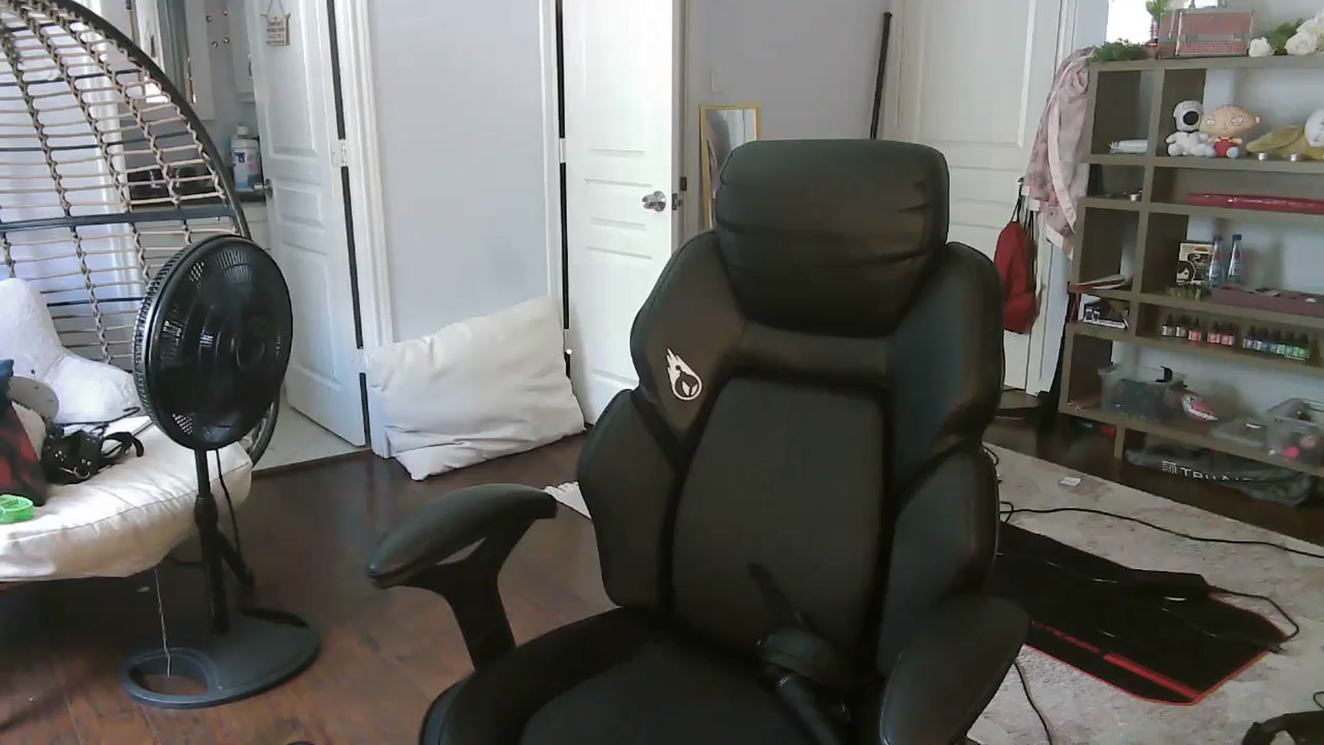 Gallery image thumbnail from Bunnydathug's myfreecams stream on, 09/23/2023, 21:36 image 7 of 20