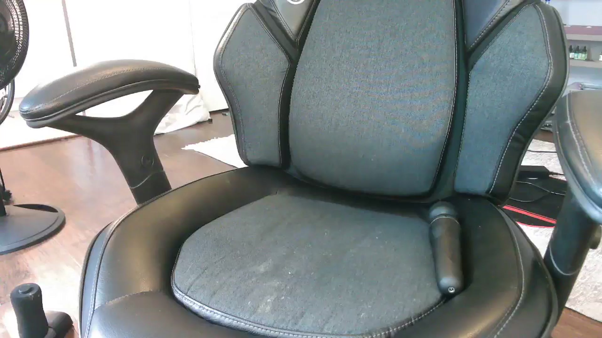 Gallery image thumbnail from Bunnydathug's myfreecams stream on, 09/24/2023, 17:38 image 12 of 20