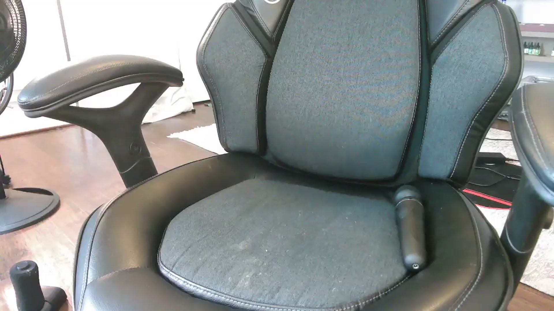 Gallery image thumbnail from Bunnydathug's myfreecams stream on, 09/24/2023, 17:38 image 19 of 20