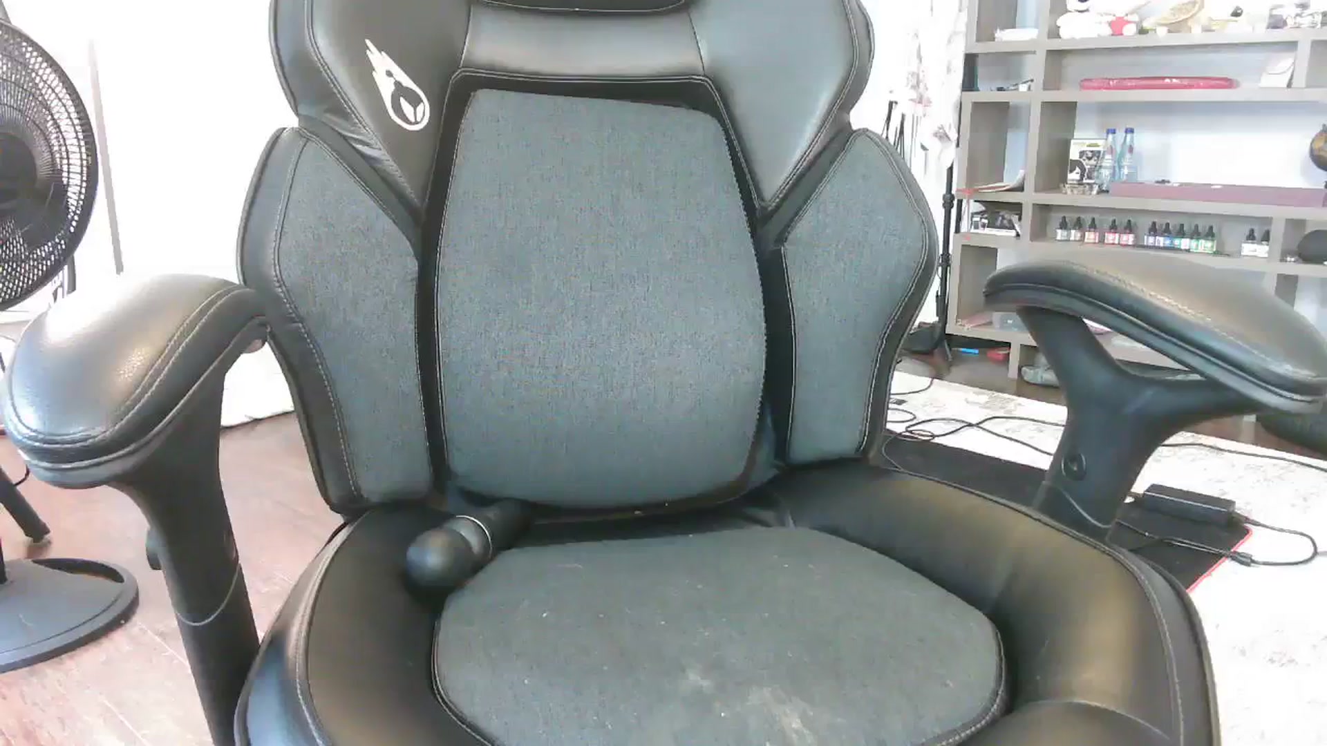 Gallery image thumbnail from Bunnydathug's myfreecams stream on, 09/25/2023, 18:06 image 10 of 20